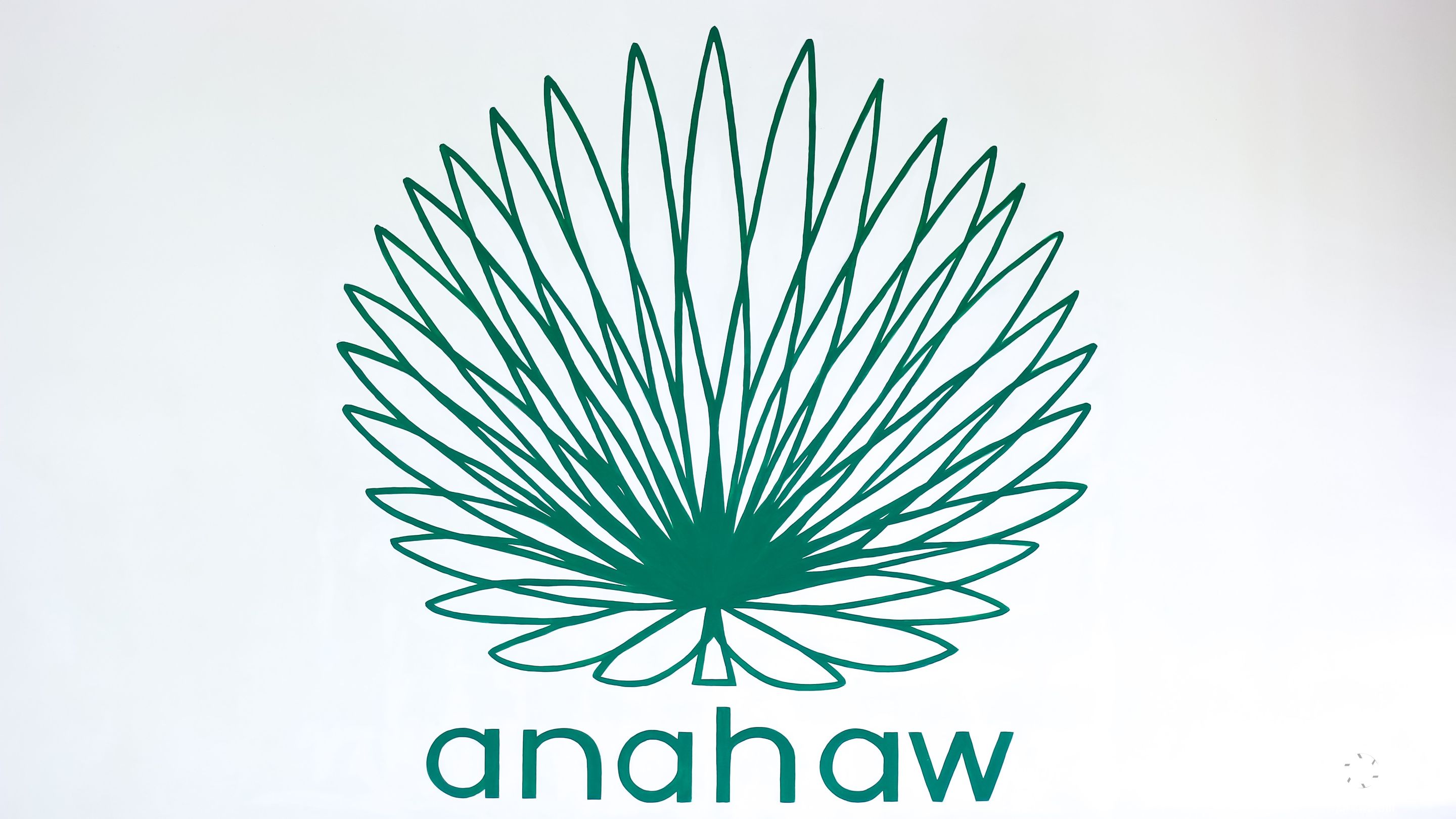 aIMG_4316.jpg
