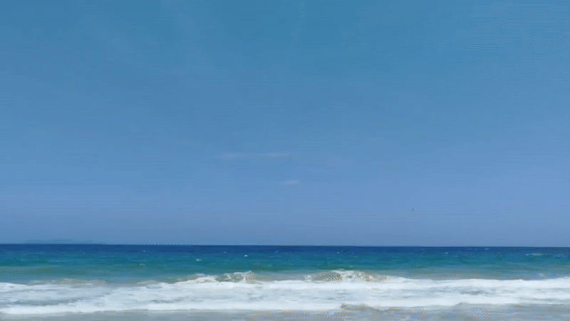 gif.gif