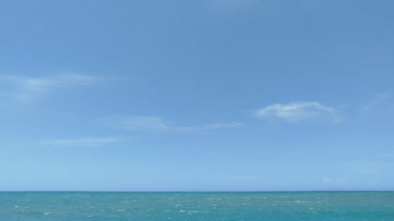 video_2025-08-17_00-52-35-ezgif.com-video-to-gif-converter.gif