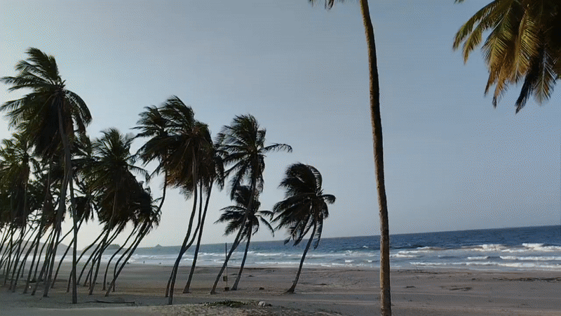 video_2025-05-23_23-45-15-ezgif.com-video-to-gif-converter.gif