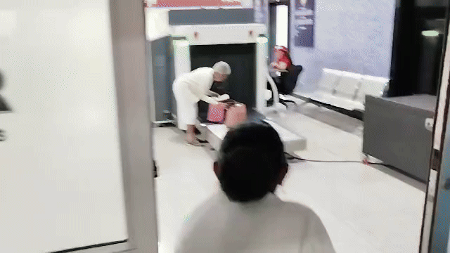 el gif.gif