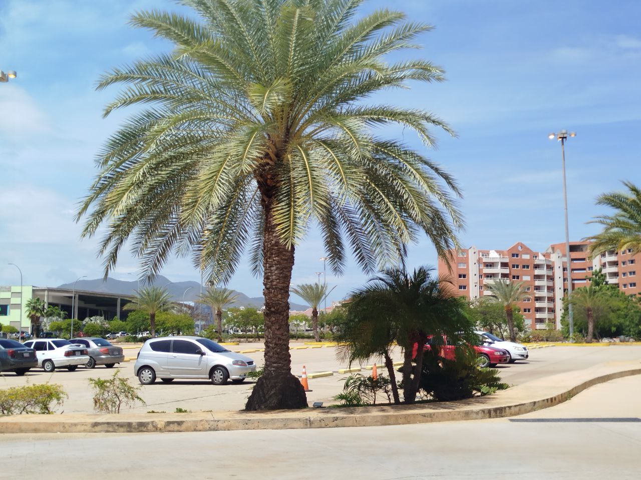 photo_2025-10-23_01-39-53 (2).jpg