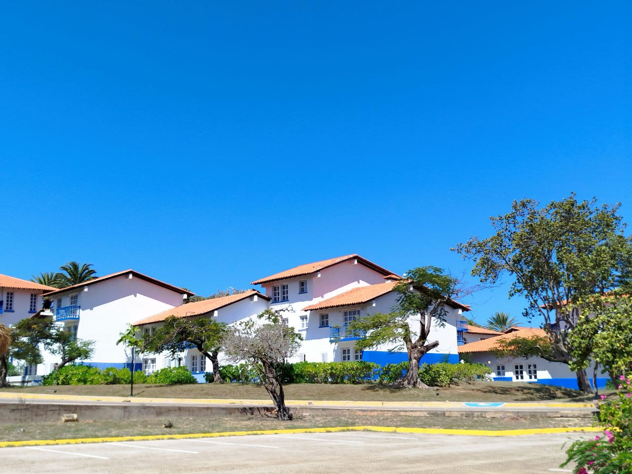 photo_2025-10-31_01-23-04 (2).jpg