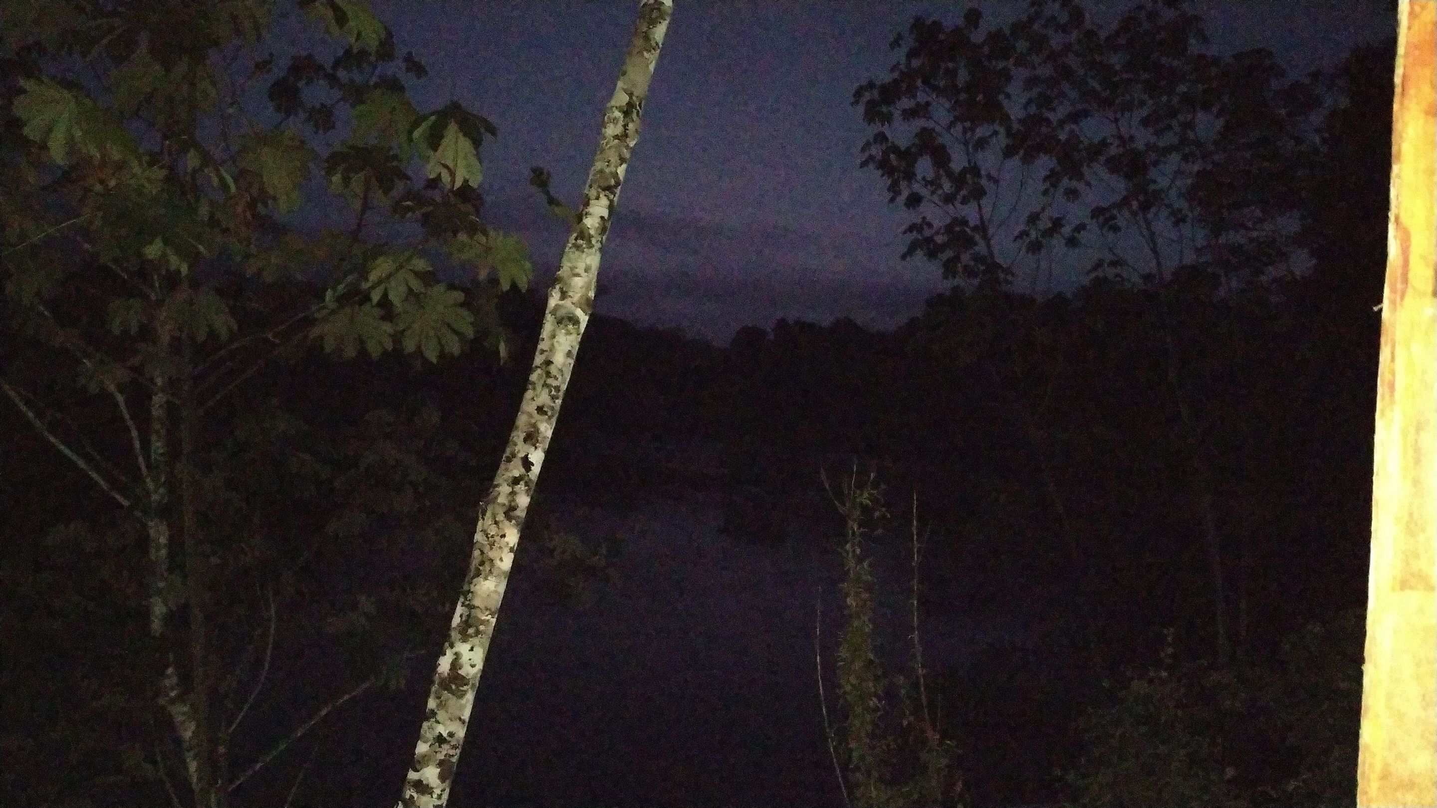 IMG_20210910_060634.jpg