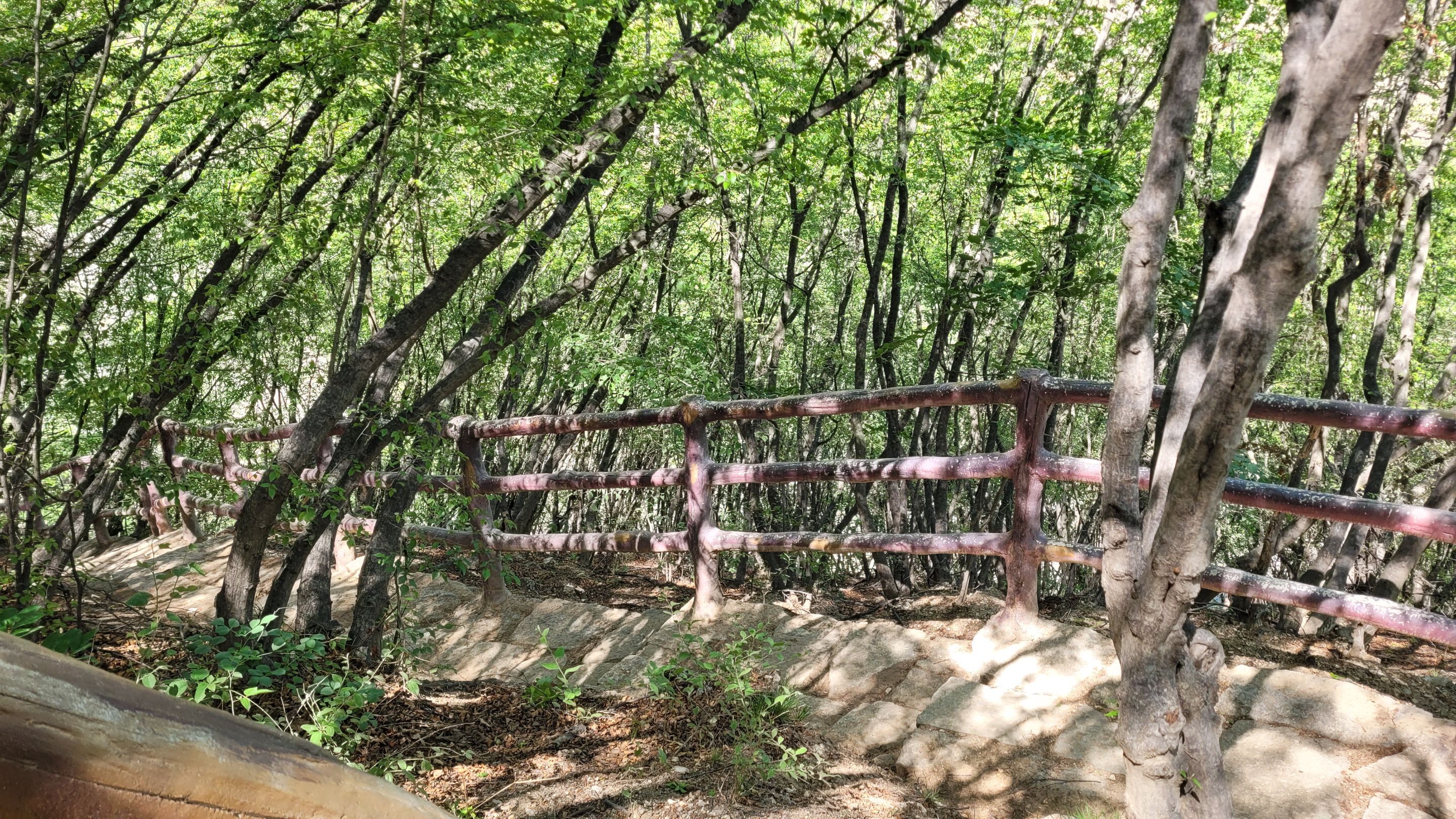20240526_142206.jpg