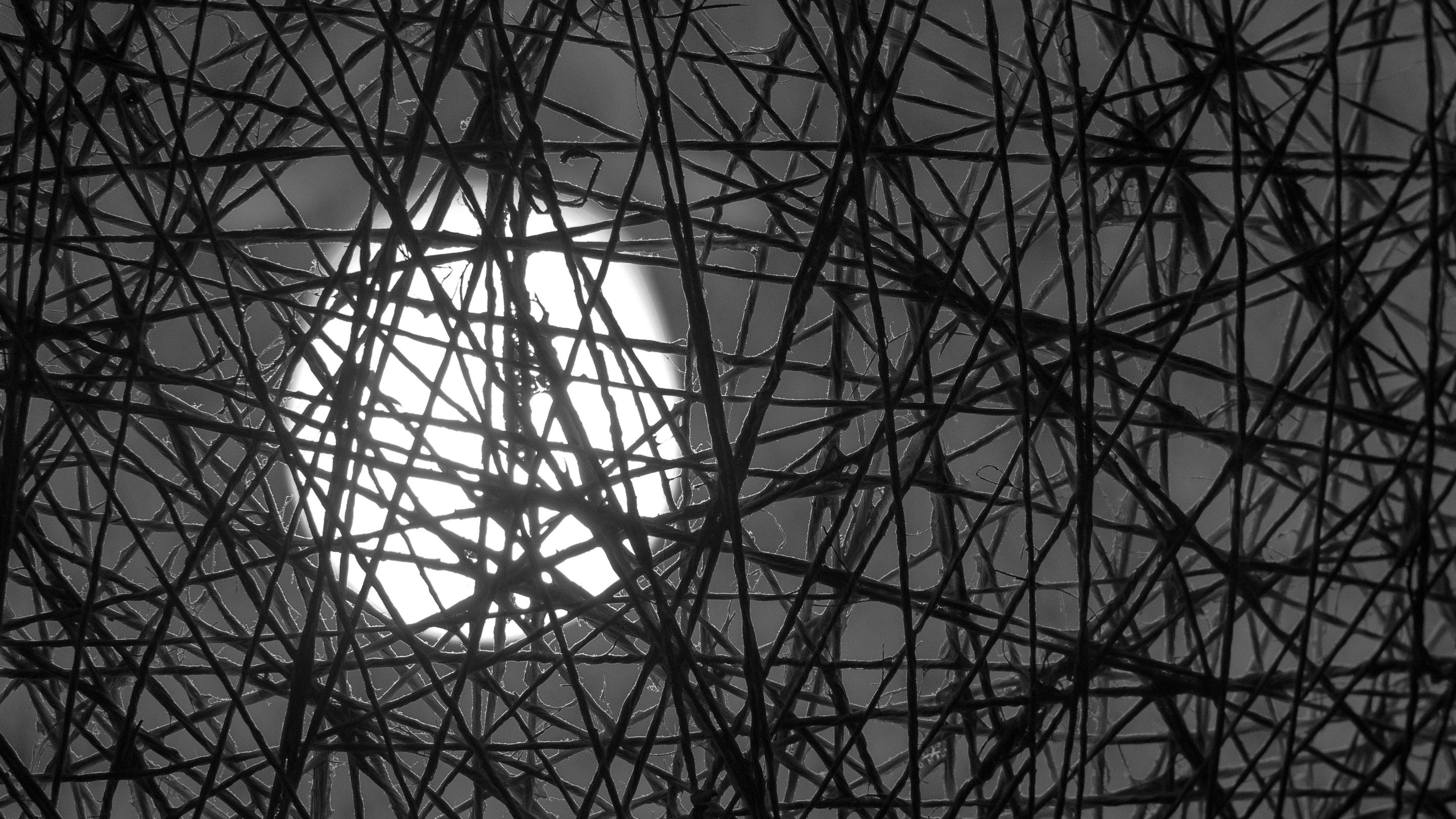 network moon-16x9.jpg