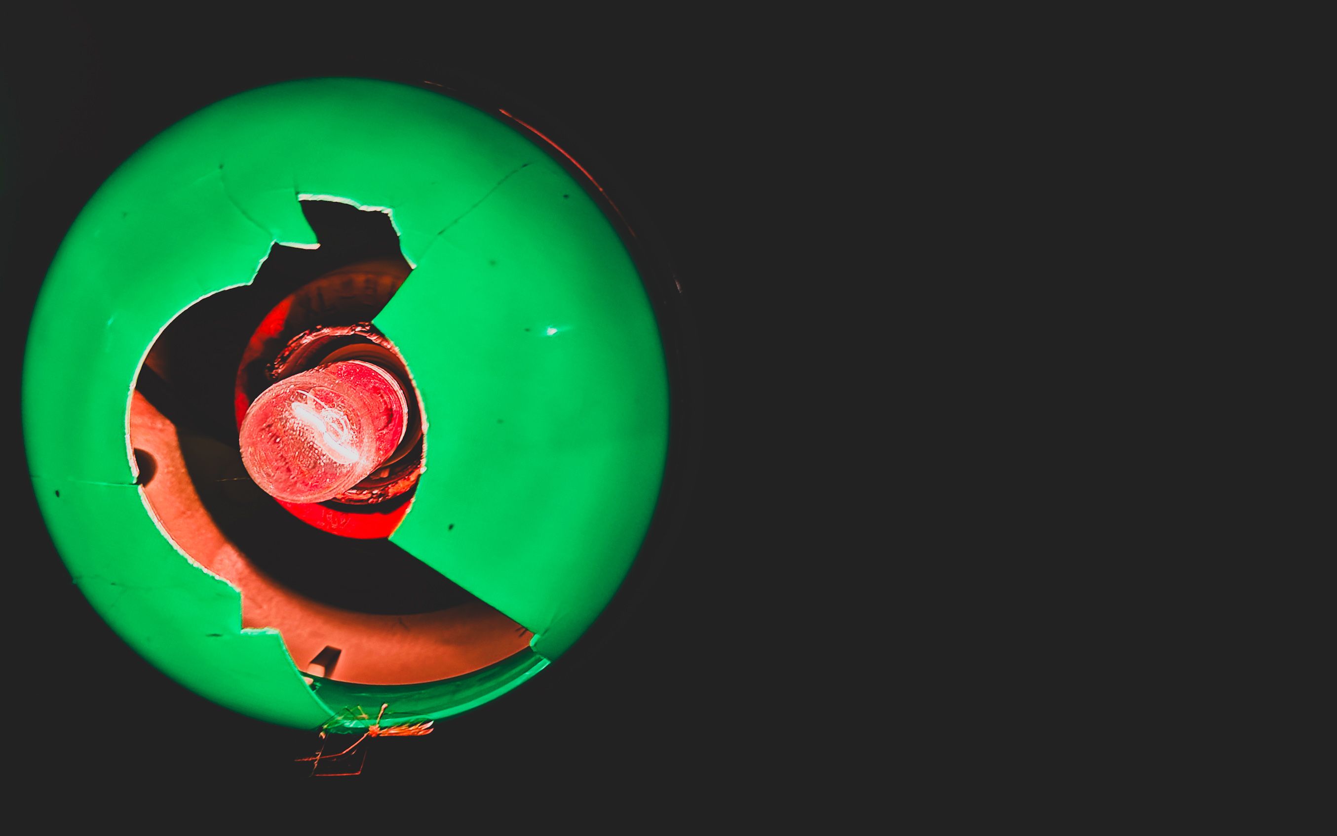 IMG20240413131140 (1).jpg