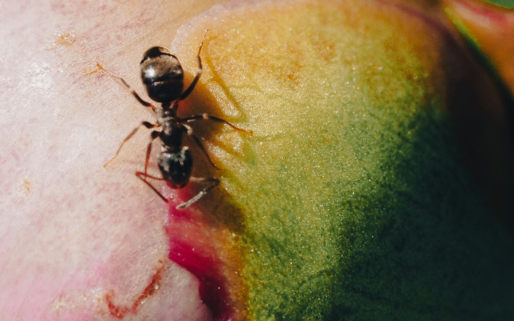 OI000311.jpg