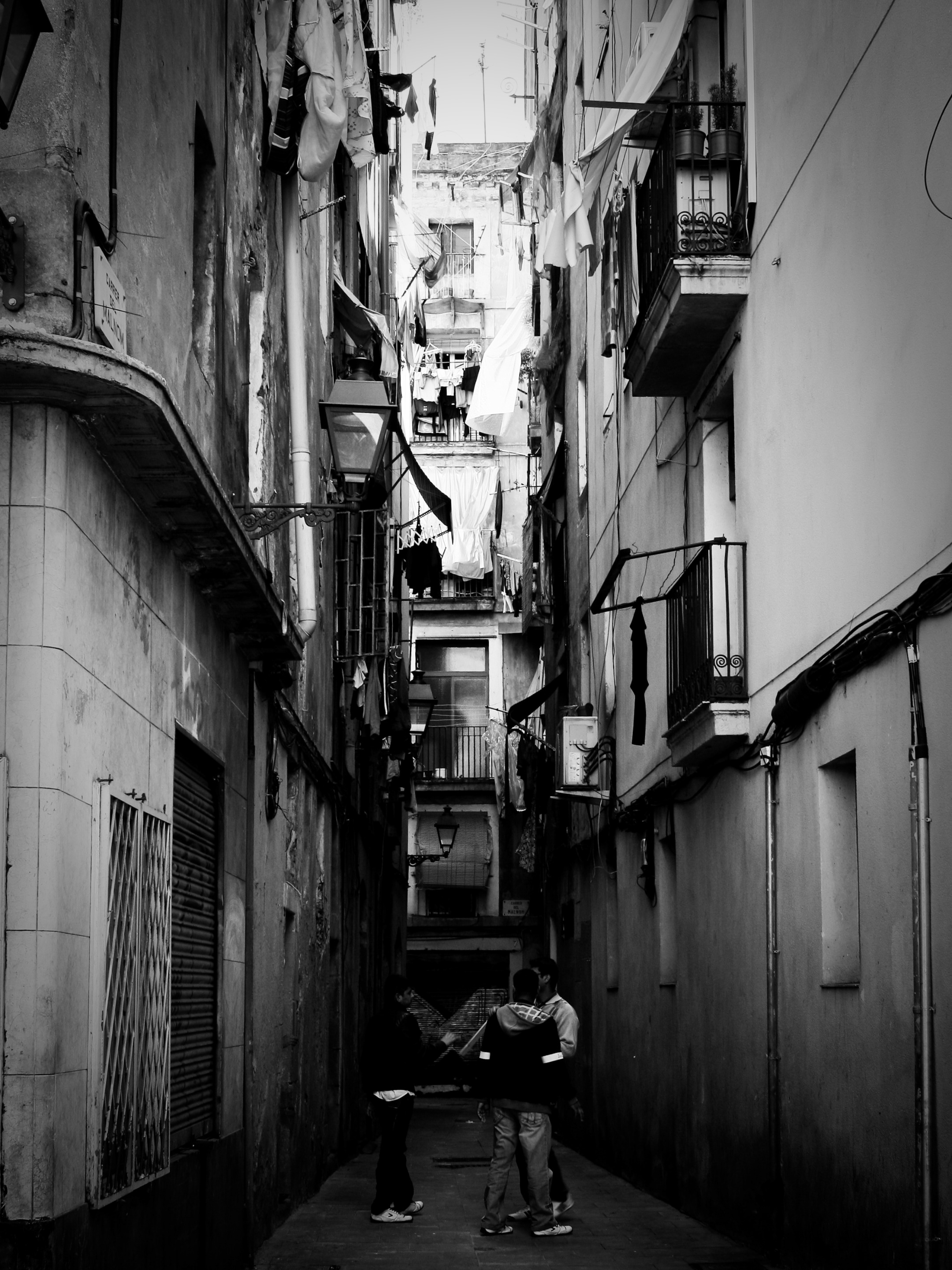 Barcelona Hive Tarazkp 5.jpg