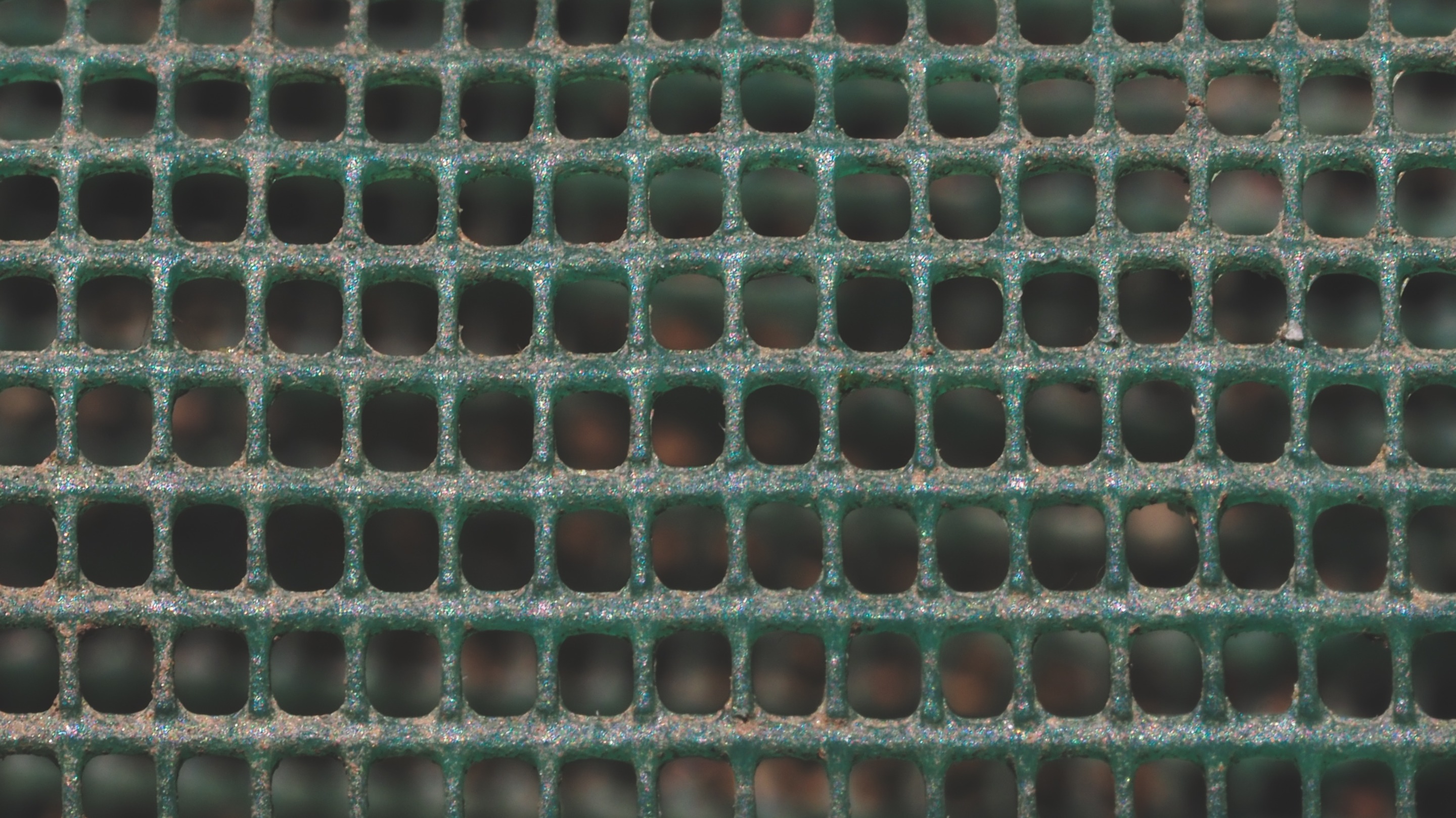 OI000617.jpg