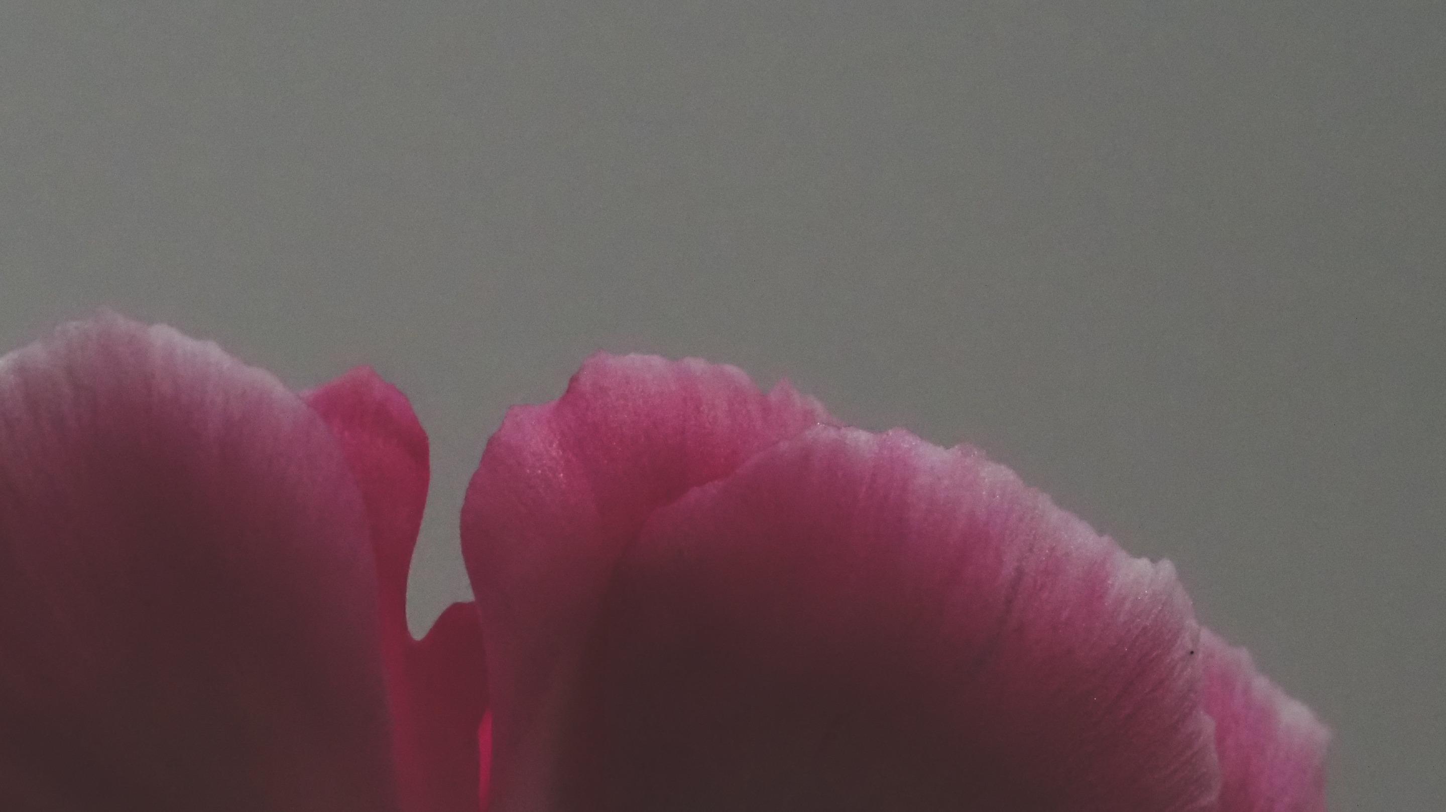 OI000623.jpg