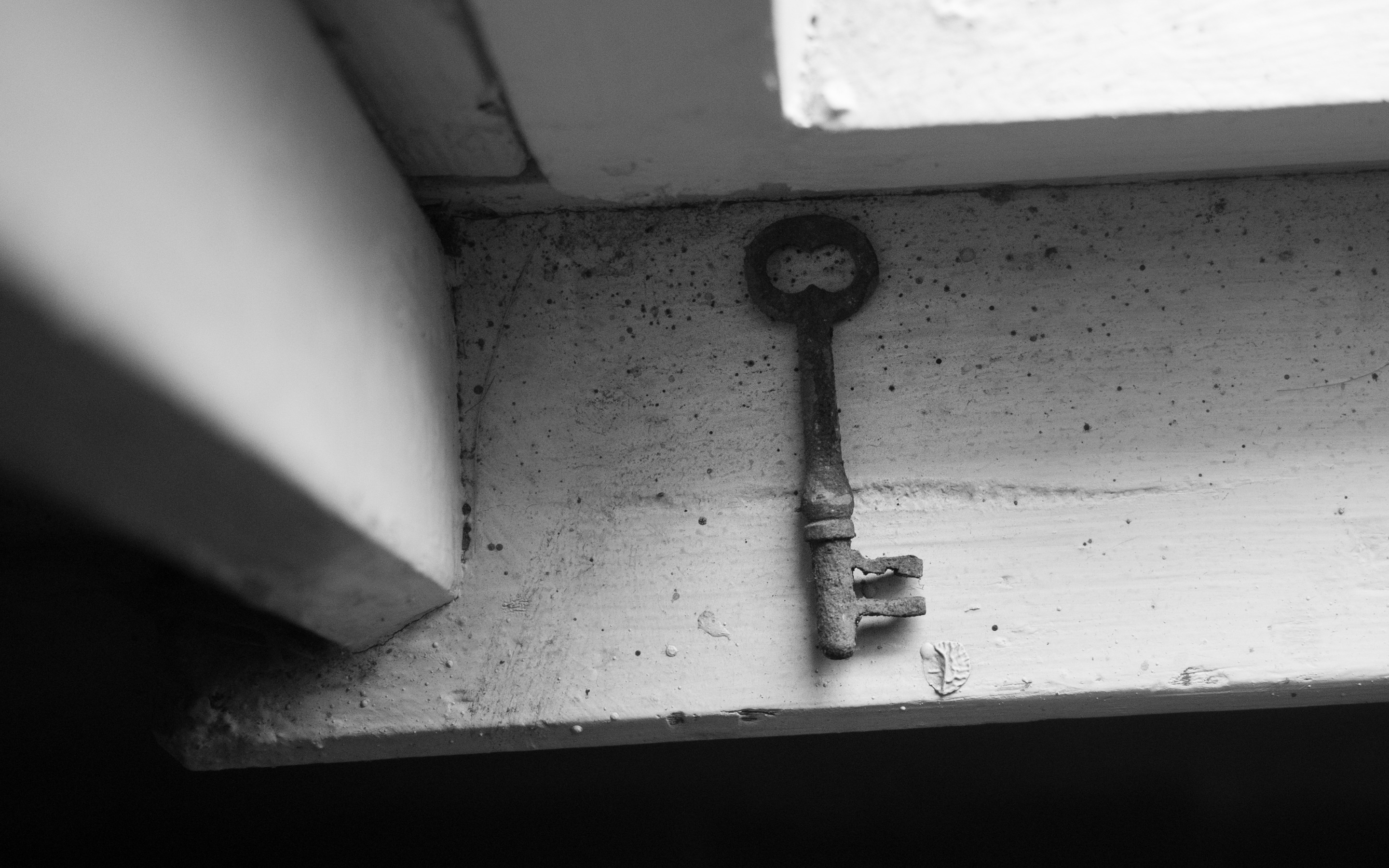 House BW 2832020 21 of 22.jpg