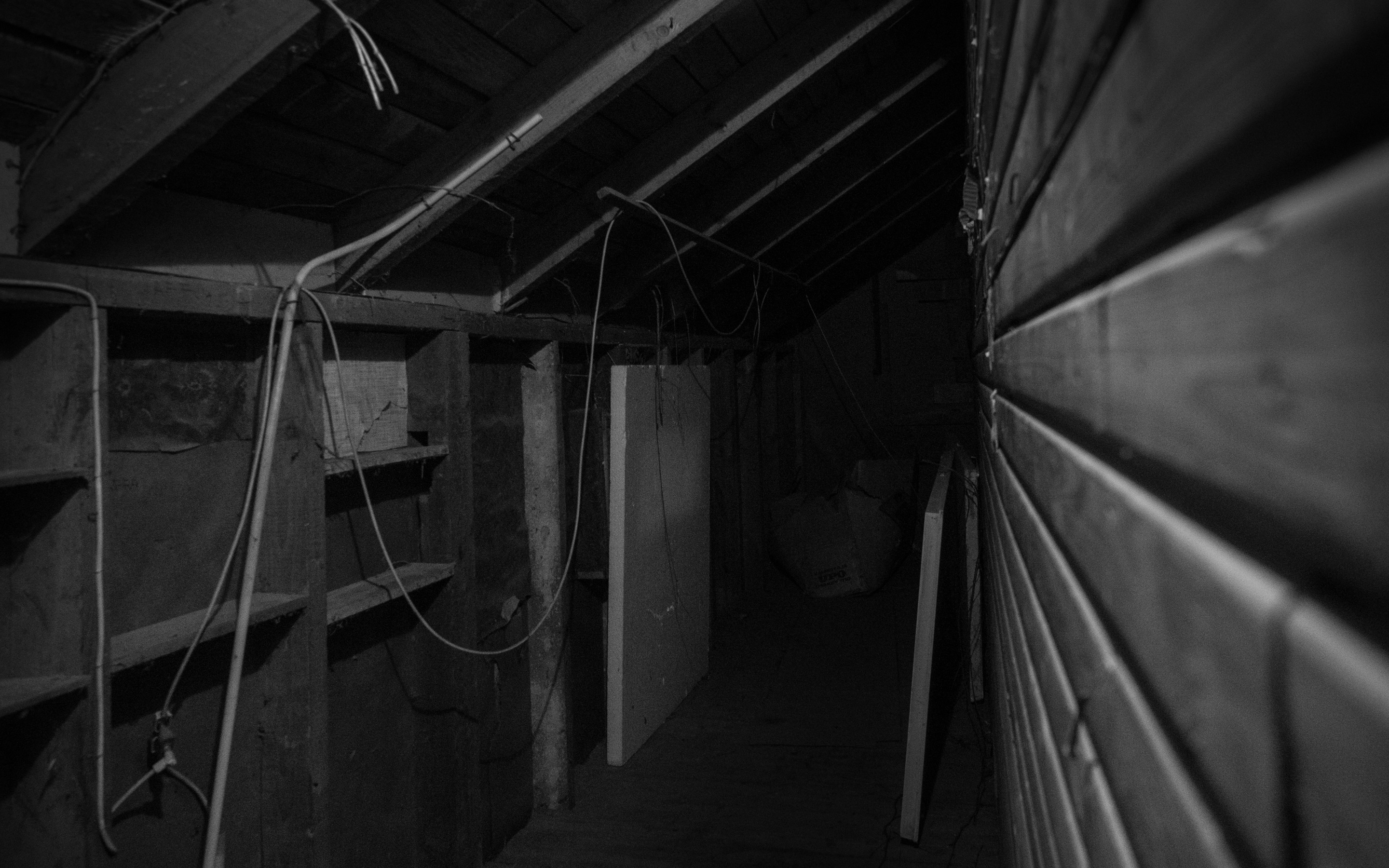 House BW 2832020 8 of 22.jpg