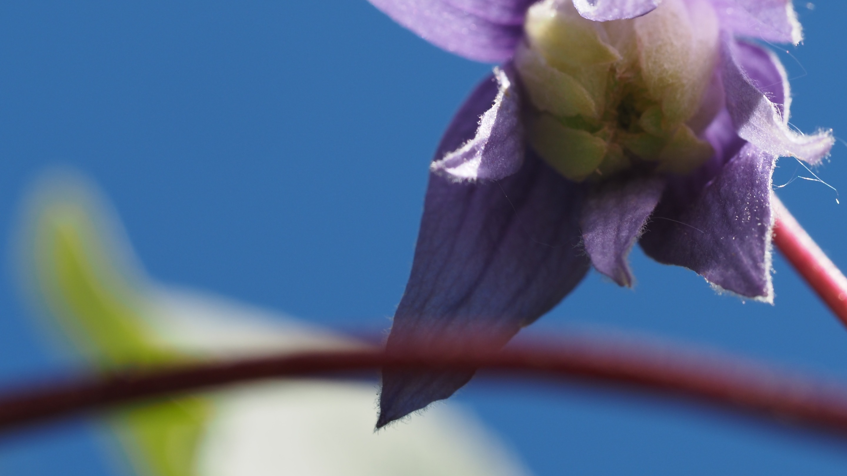 OI000606.jpg