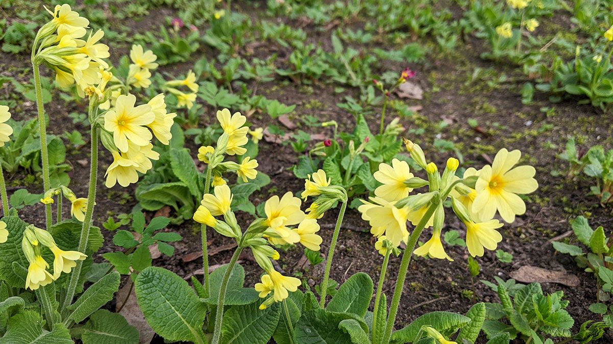 PXL_20250419_113331951.jpg