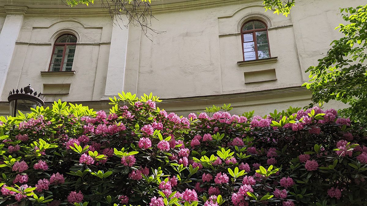 PXL_20250611_104103707.jpg