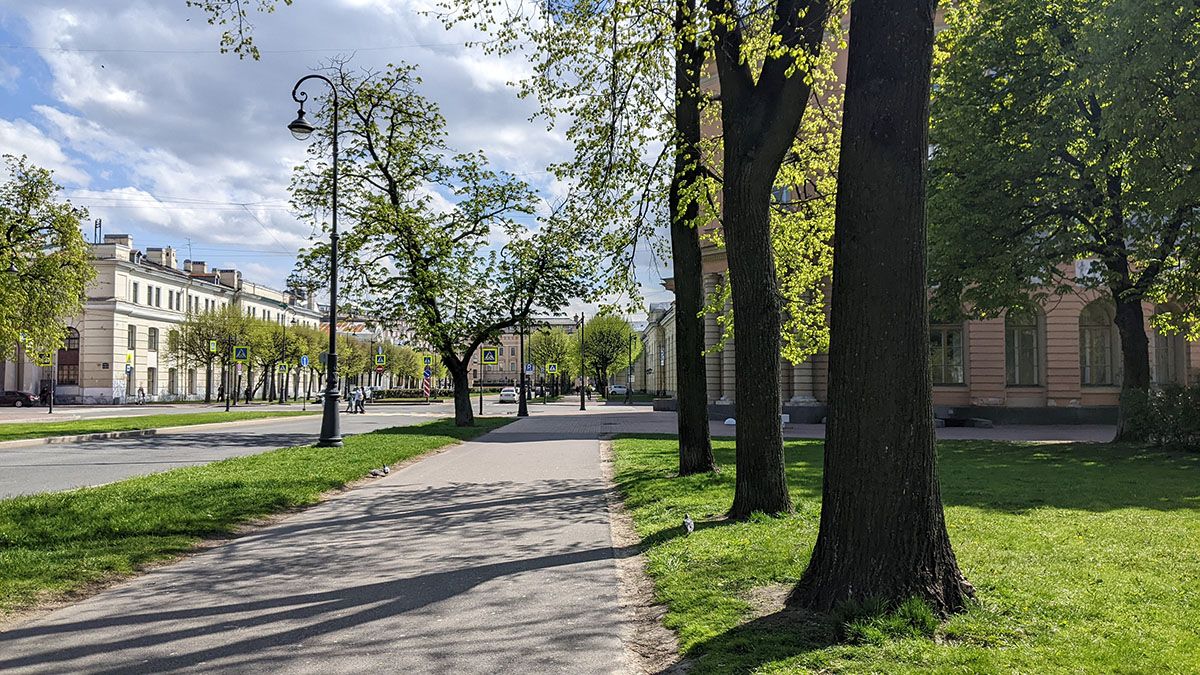 px2025_06_07_Im05.jpg