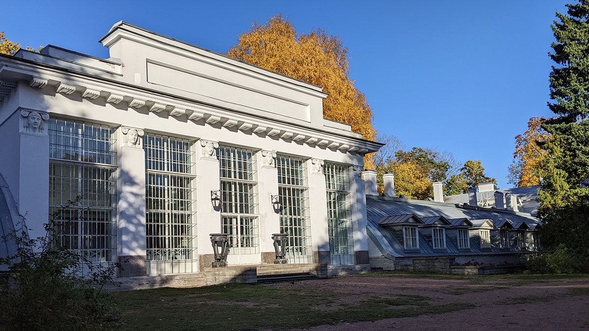 PXL_20241018_115404603.jpg