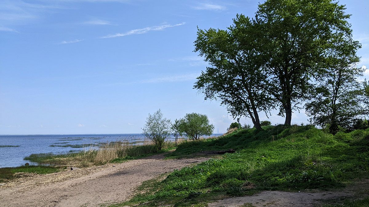 px2025_05_23_Image0005.jpg