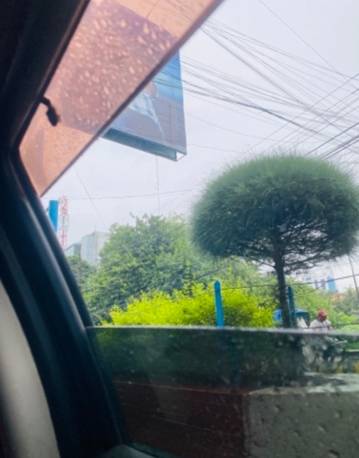 IMG_9556.jpeg