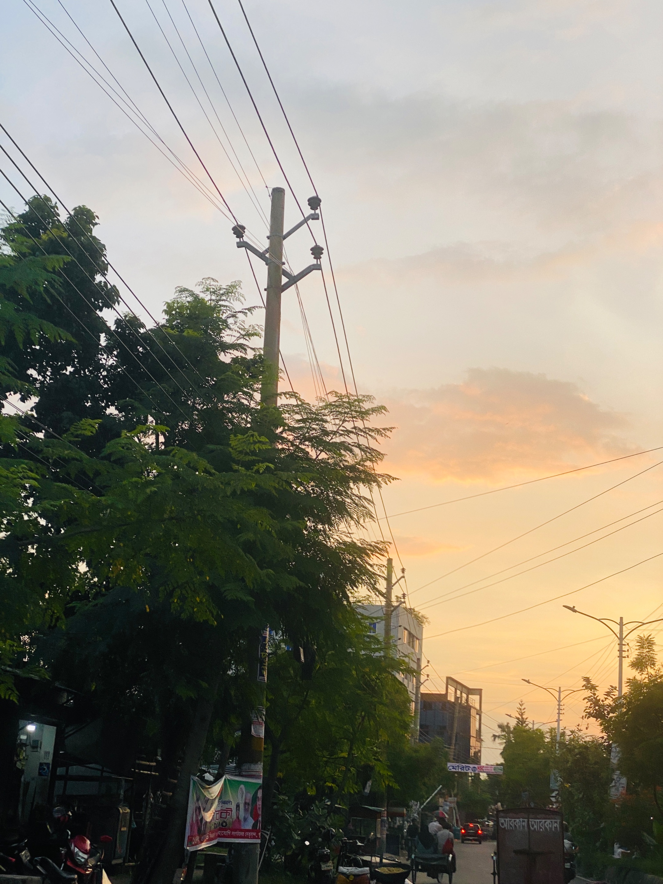 IMG_9007.jpeg