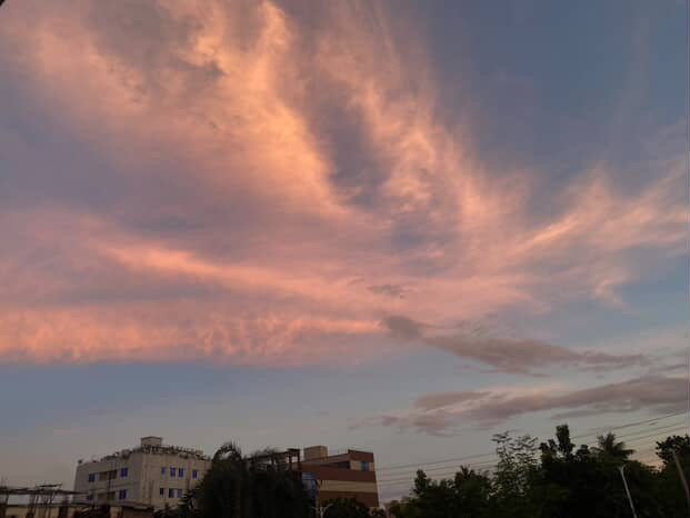 B53ED348-B0D9-4AB5-83A1-A6D8B976965F.jpeg