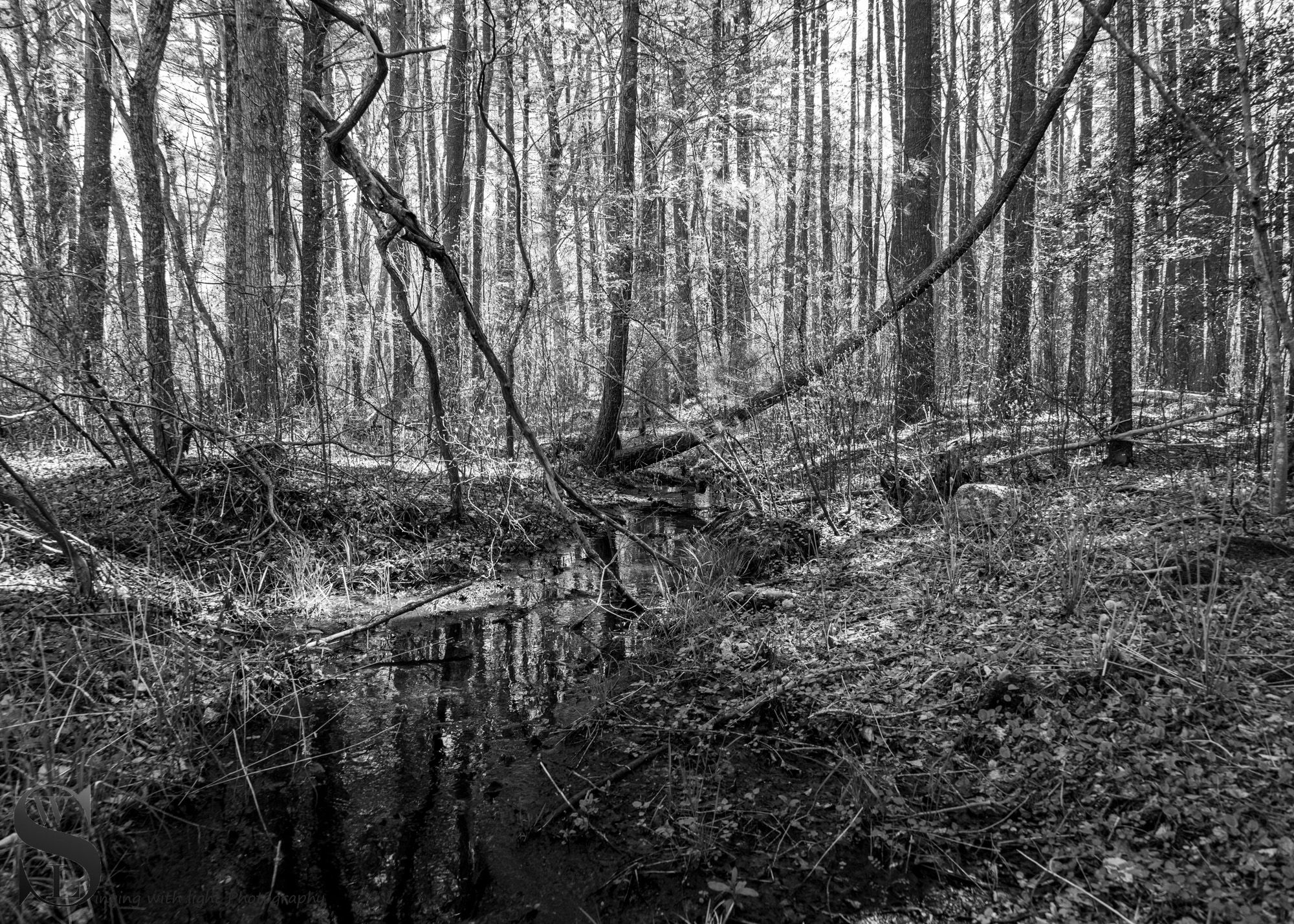 mono shadows and reflections.jpg