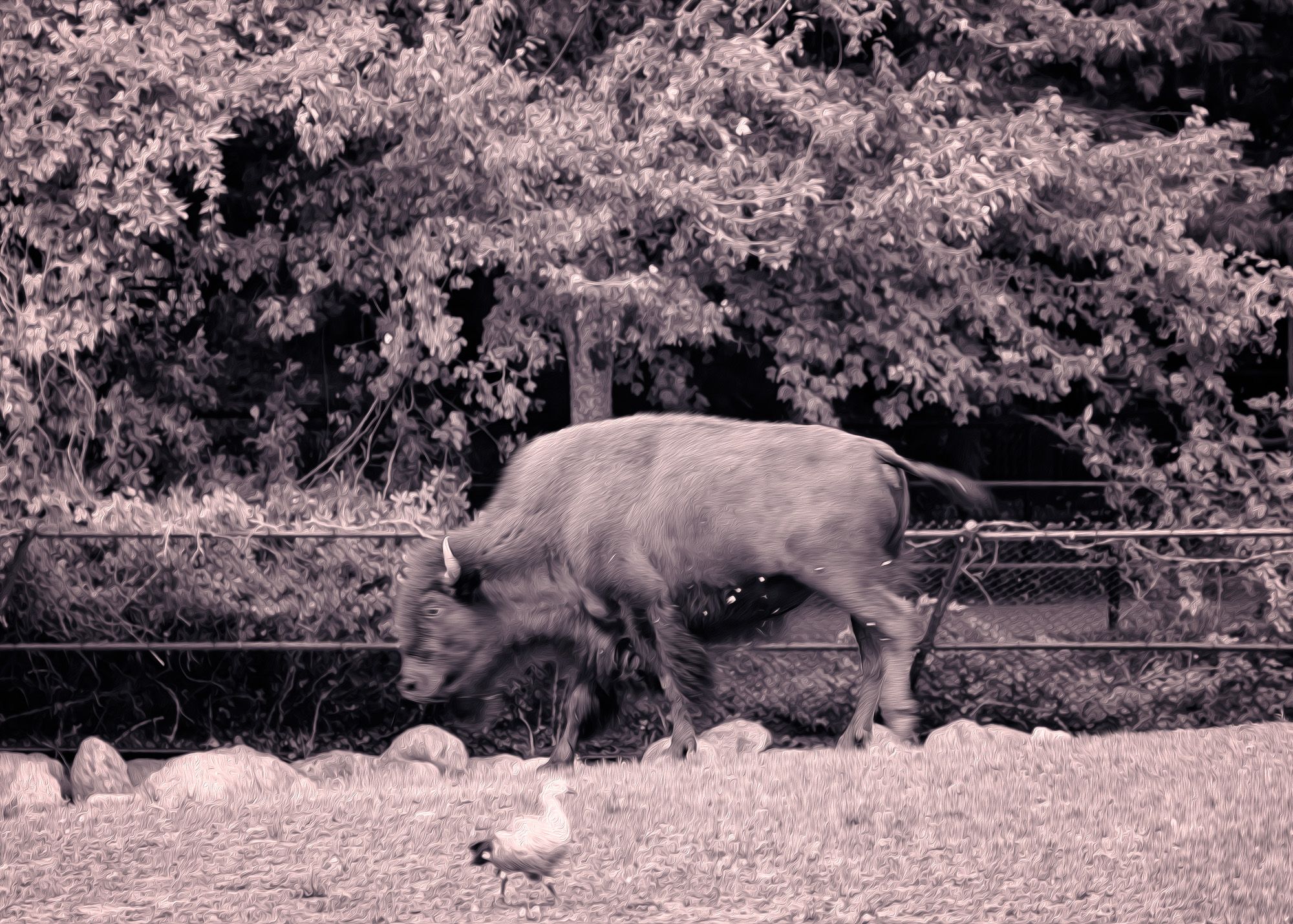 rendom mono shots_.jpg