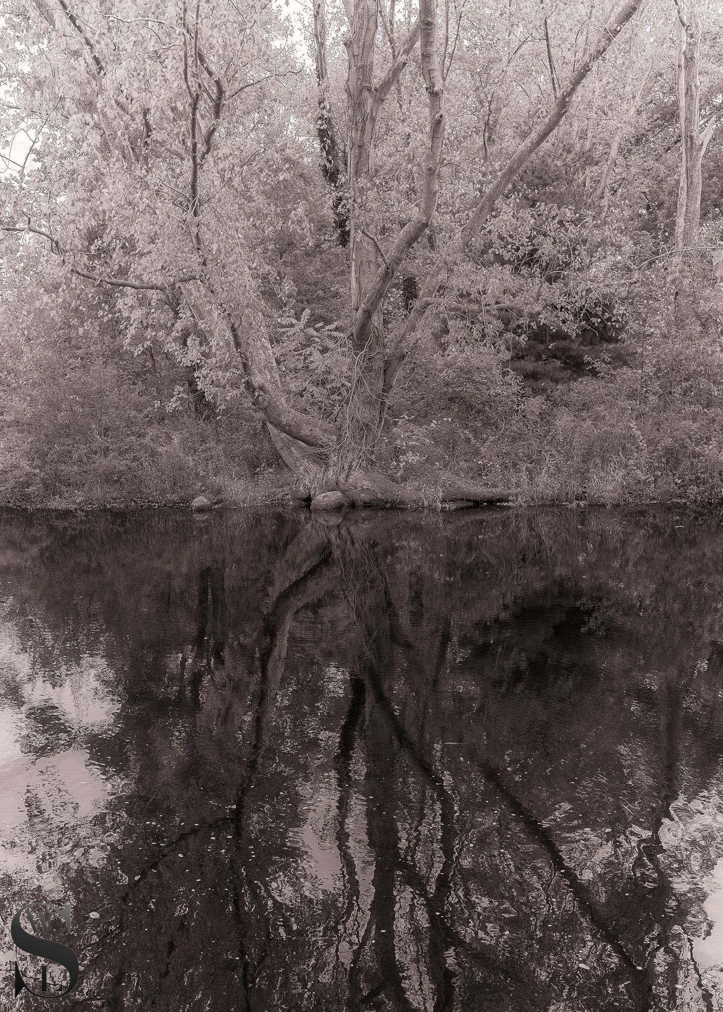 mono shadows and reflections-5.jpg