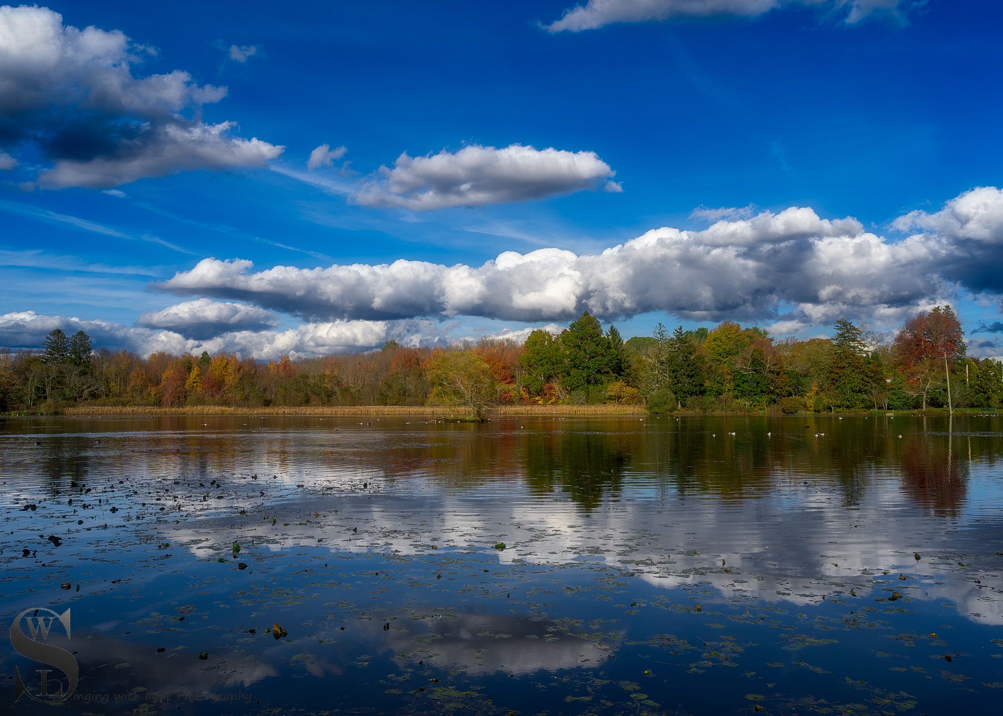 sb fall pond-4.jpg