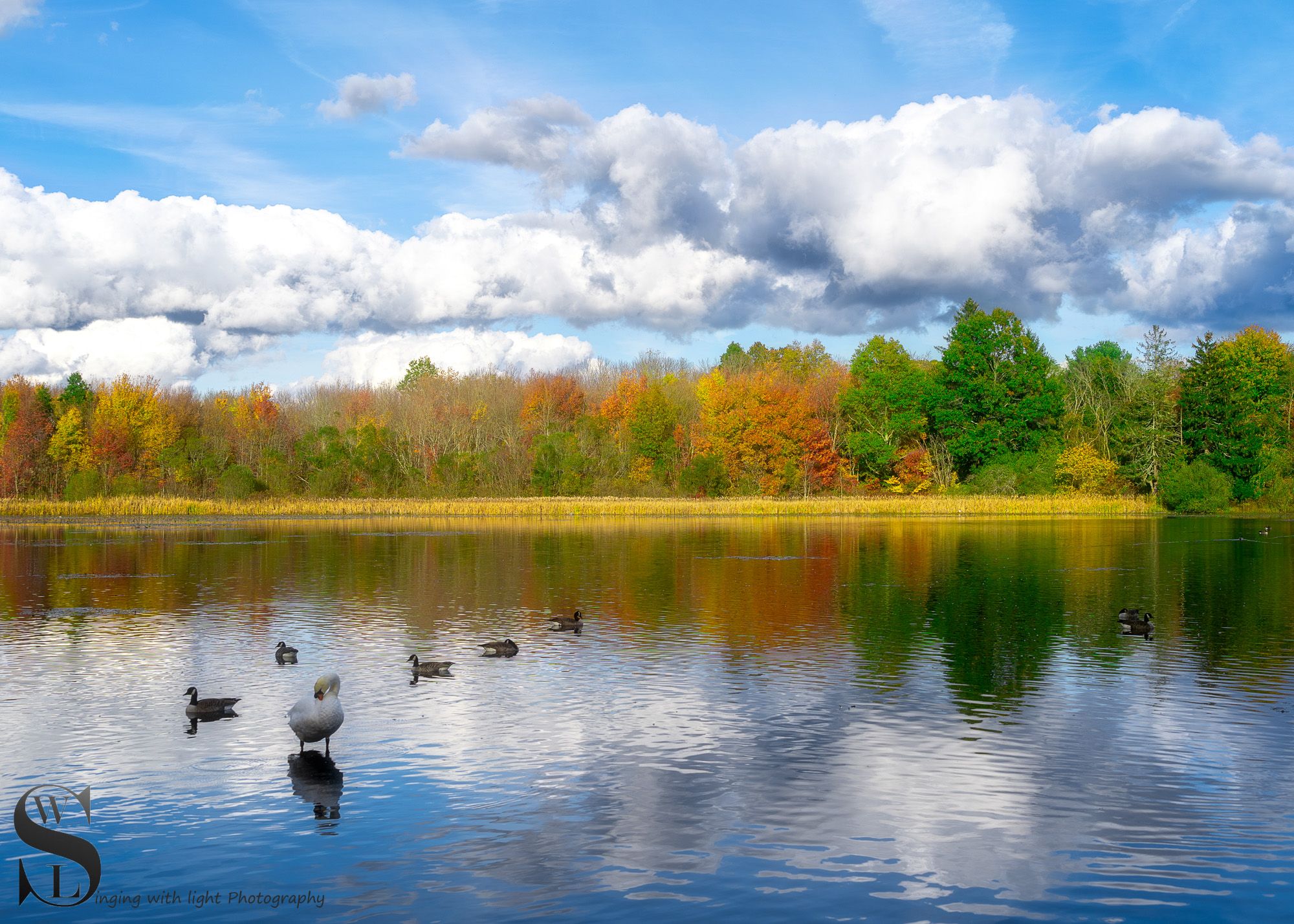 sb fall pond-5.jpg