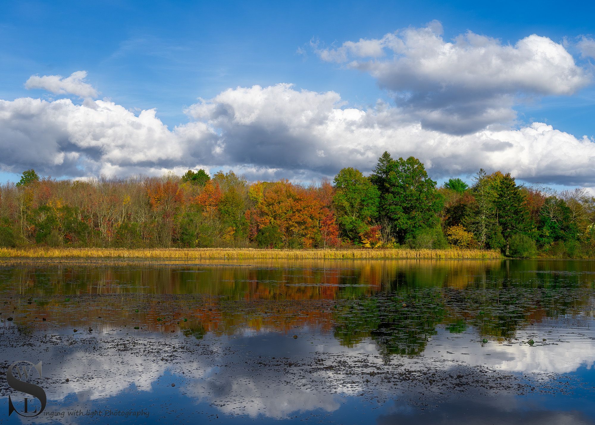 sb fall pond.jpg