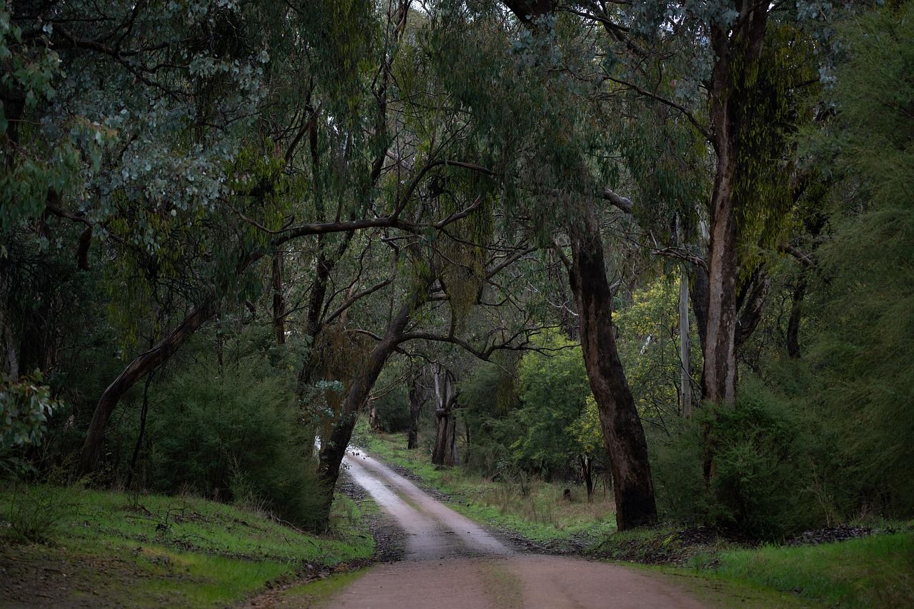 road-8205773_1280.jpg