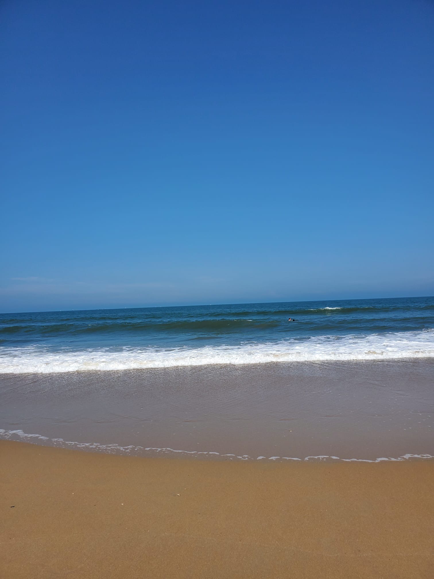 7362c627-459e-4e6f-be18-a0526a937265.jpeg
