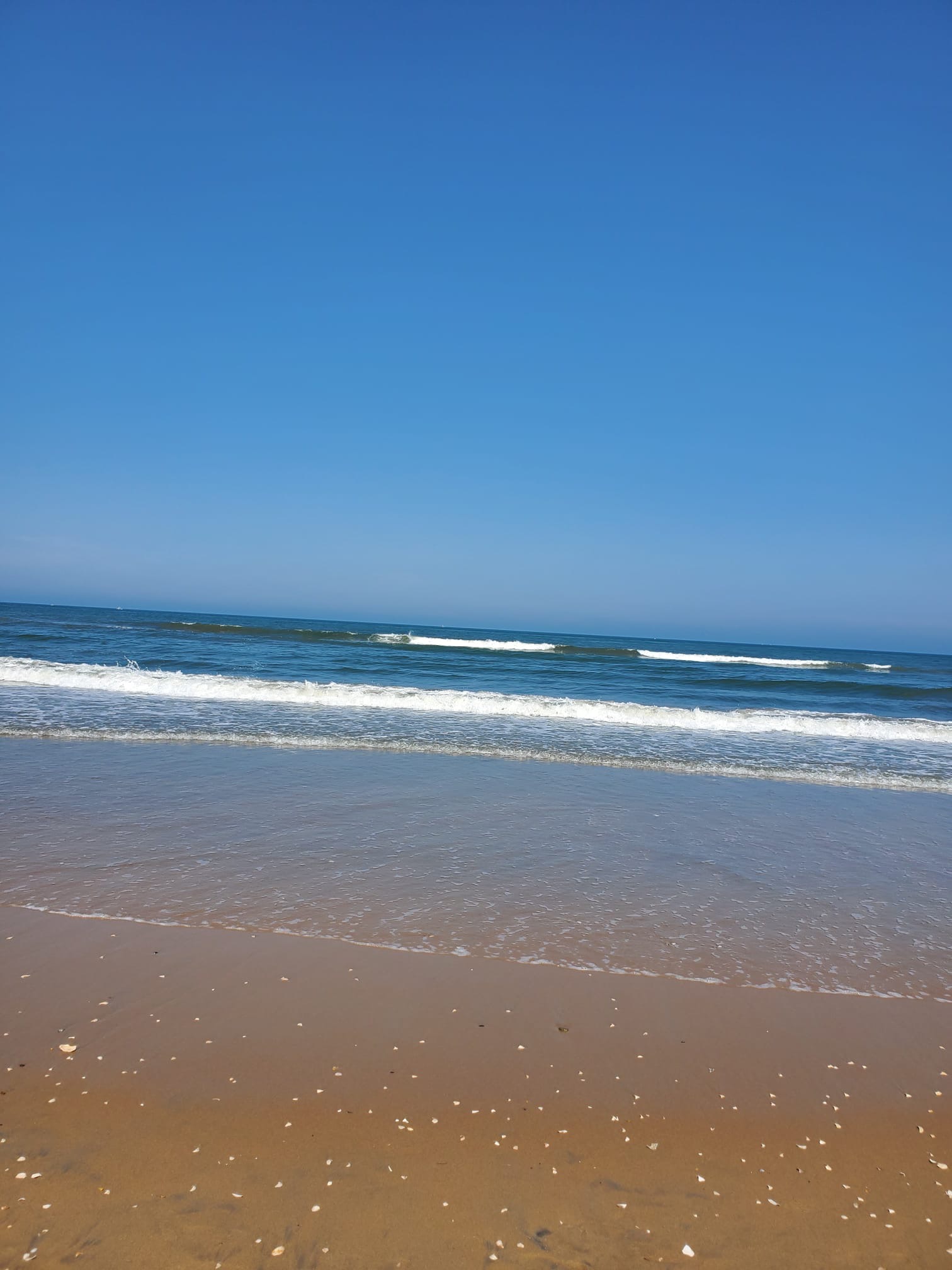 28f814ee-35e3-4a83-bcce-878772a9d2cb.jpeg