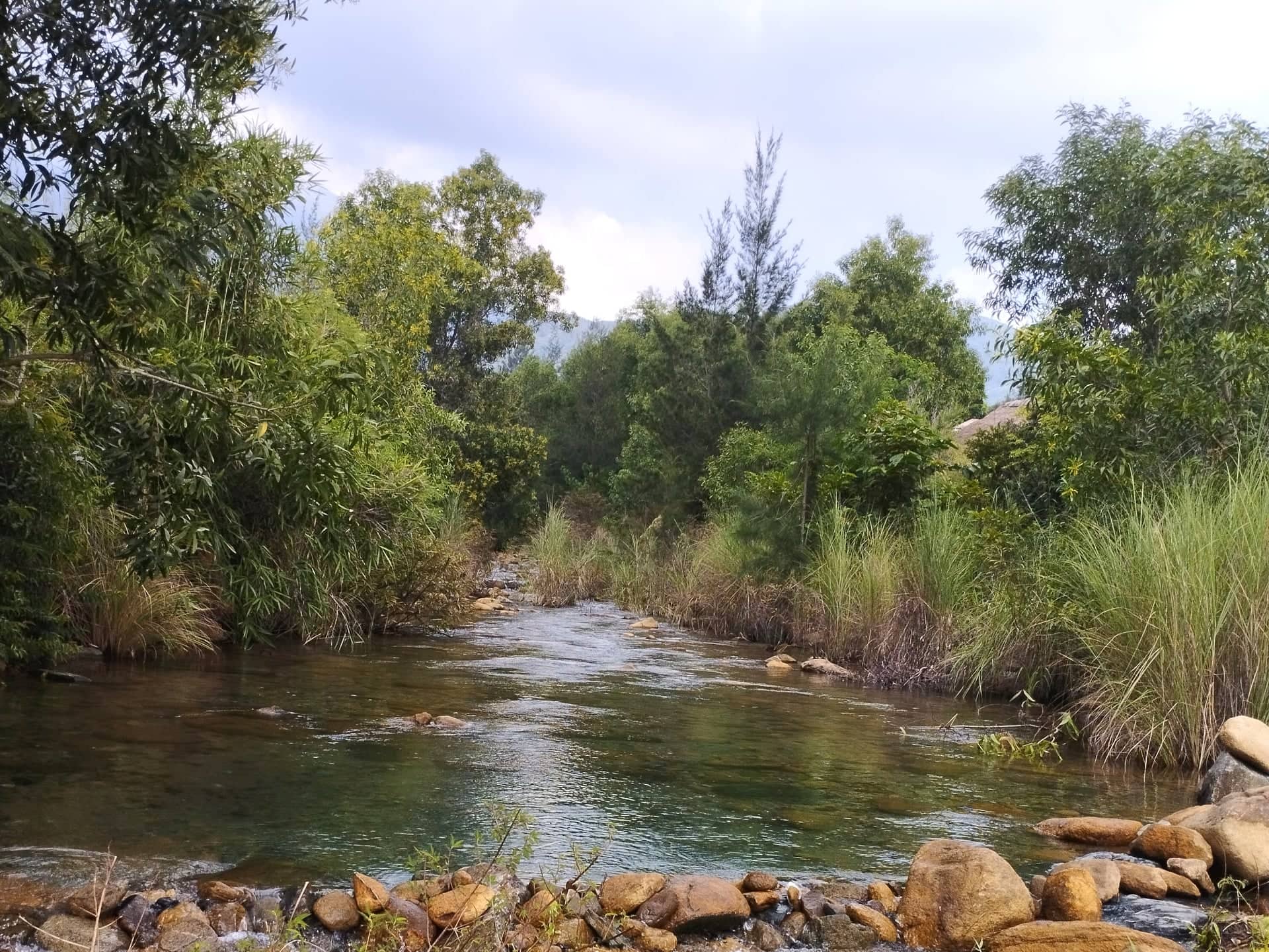 river.jpg