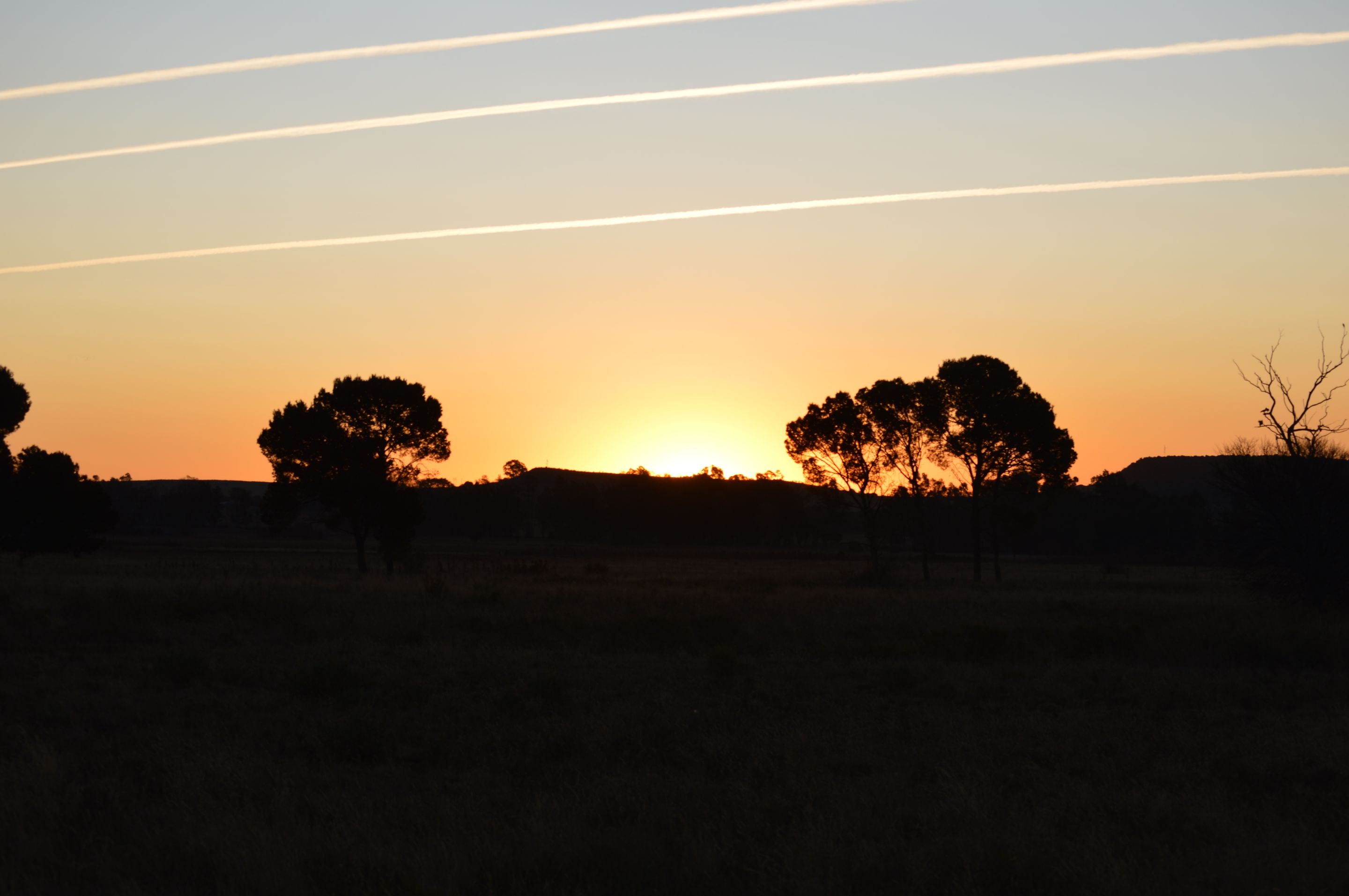 DSC_0073.JPG