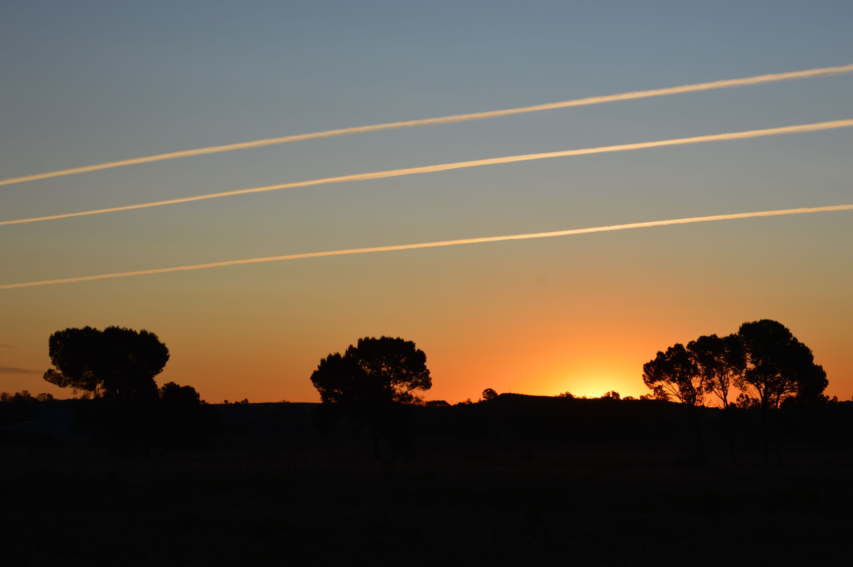 DSC_0076.JPG