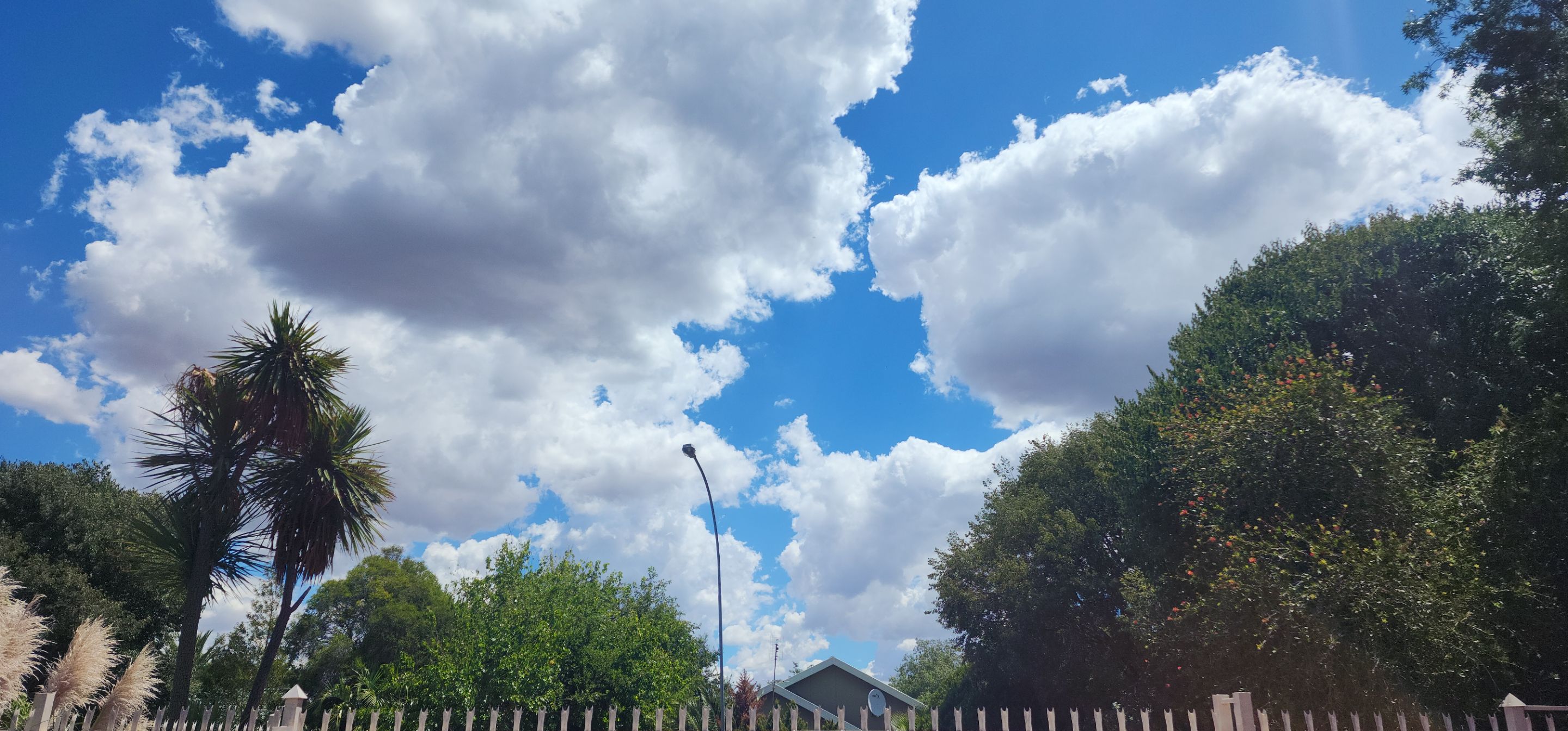 20250223_131628.jpg