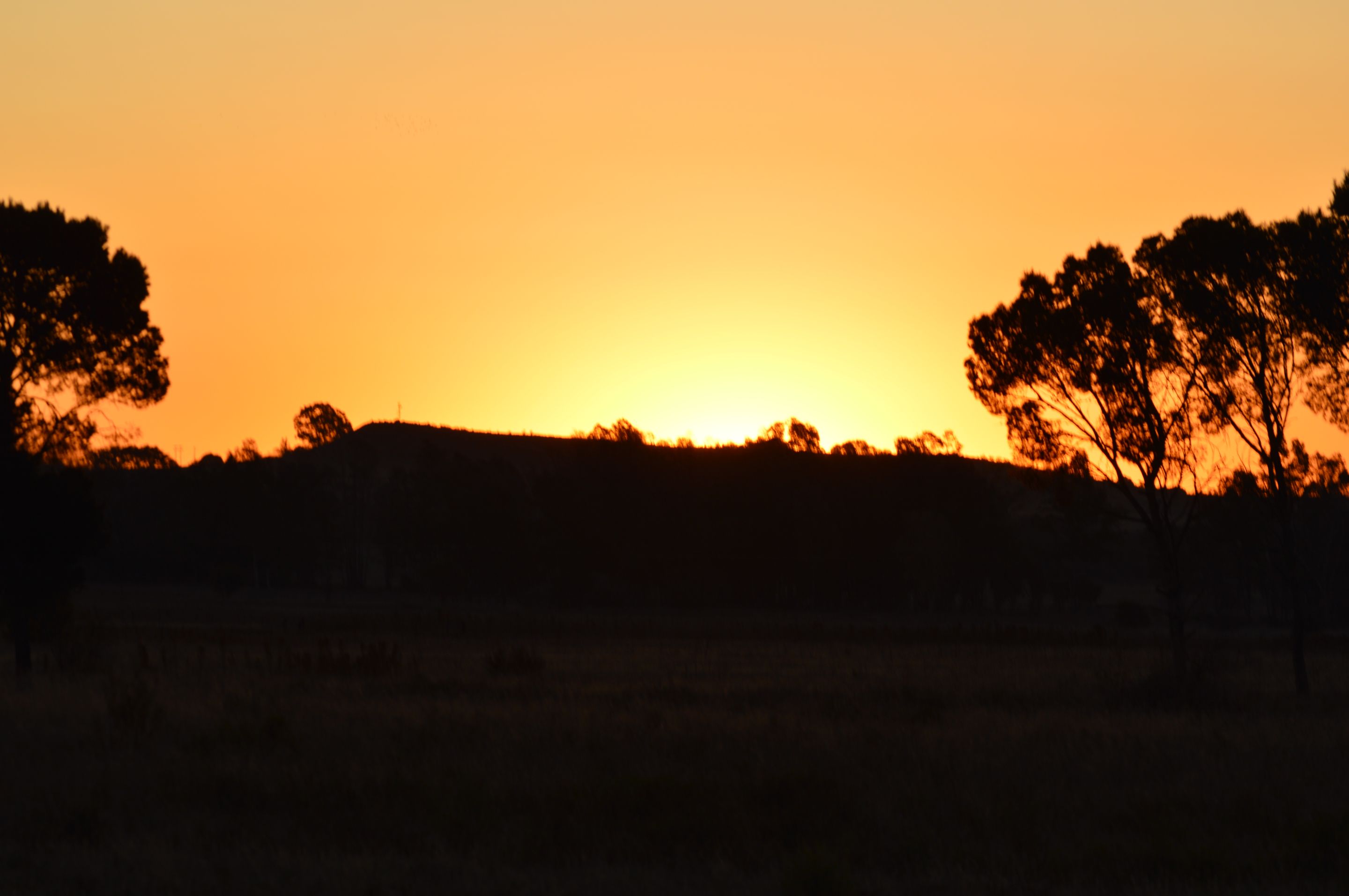DSC_0074.JPG