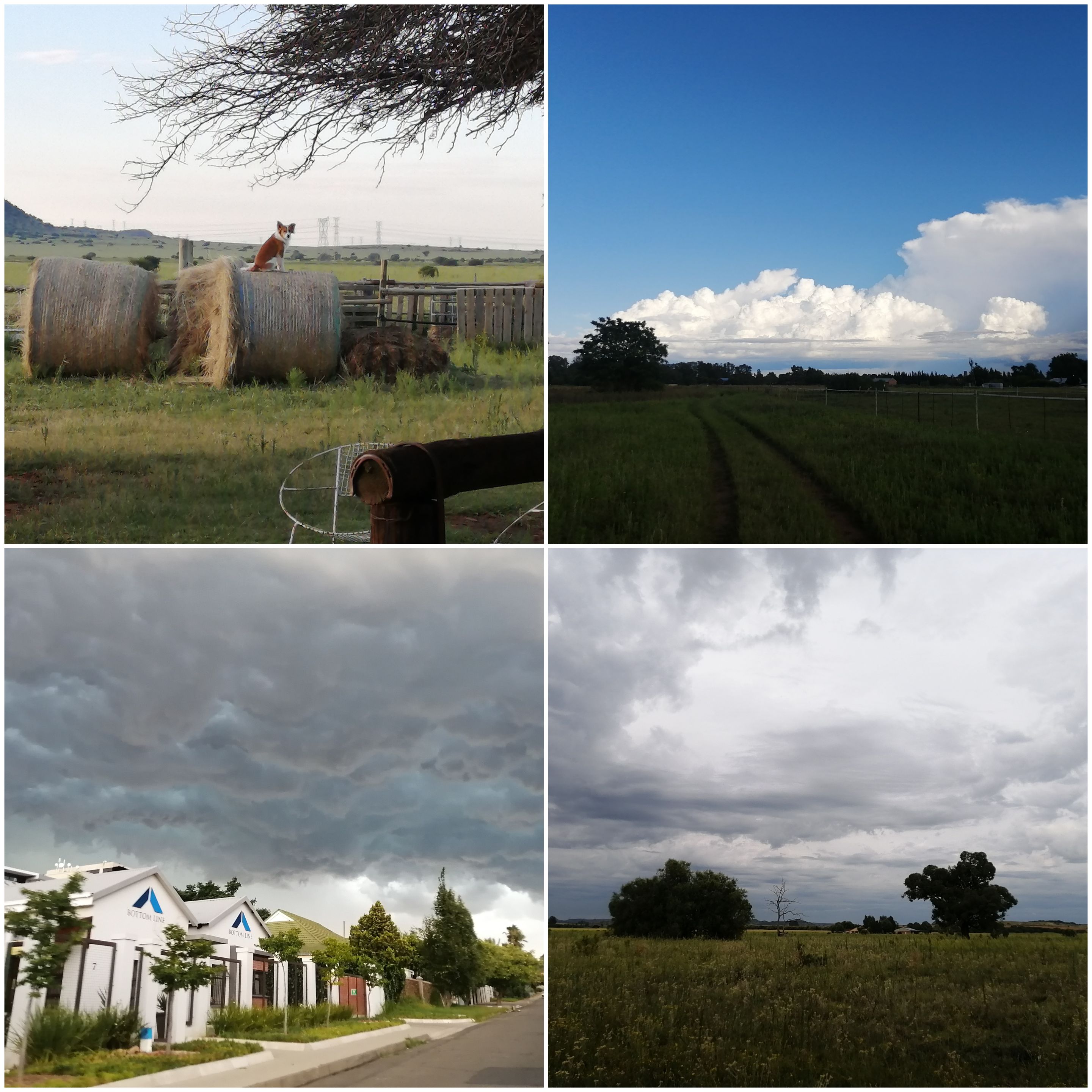 @technicalside/chasing-storms-on-my-wednesday-walk