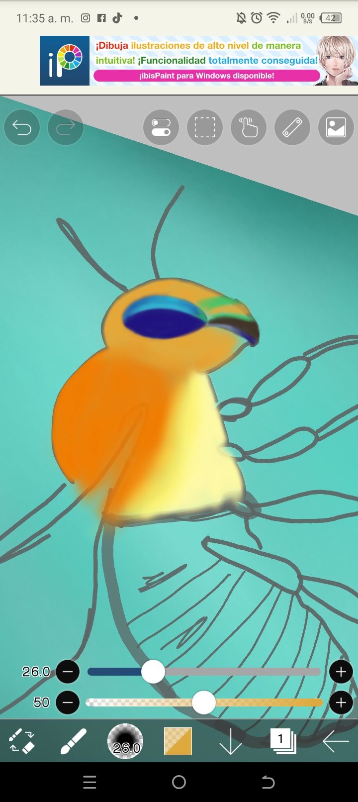 Screenshot_20240626-113546.jpg