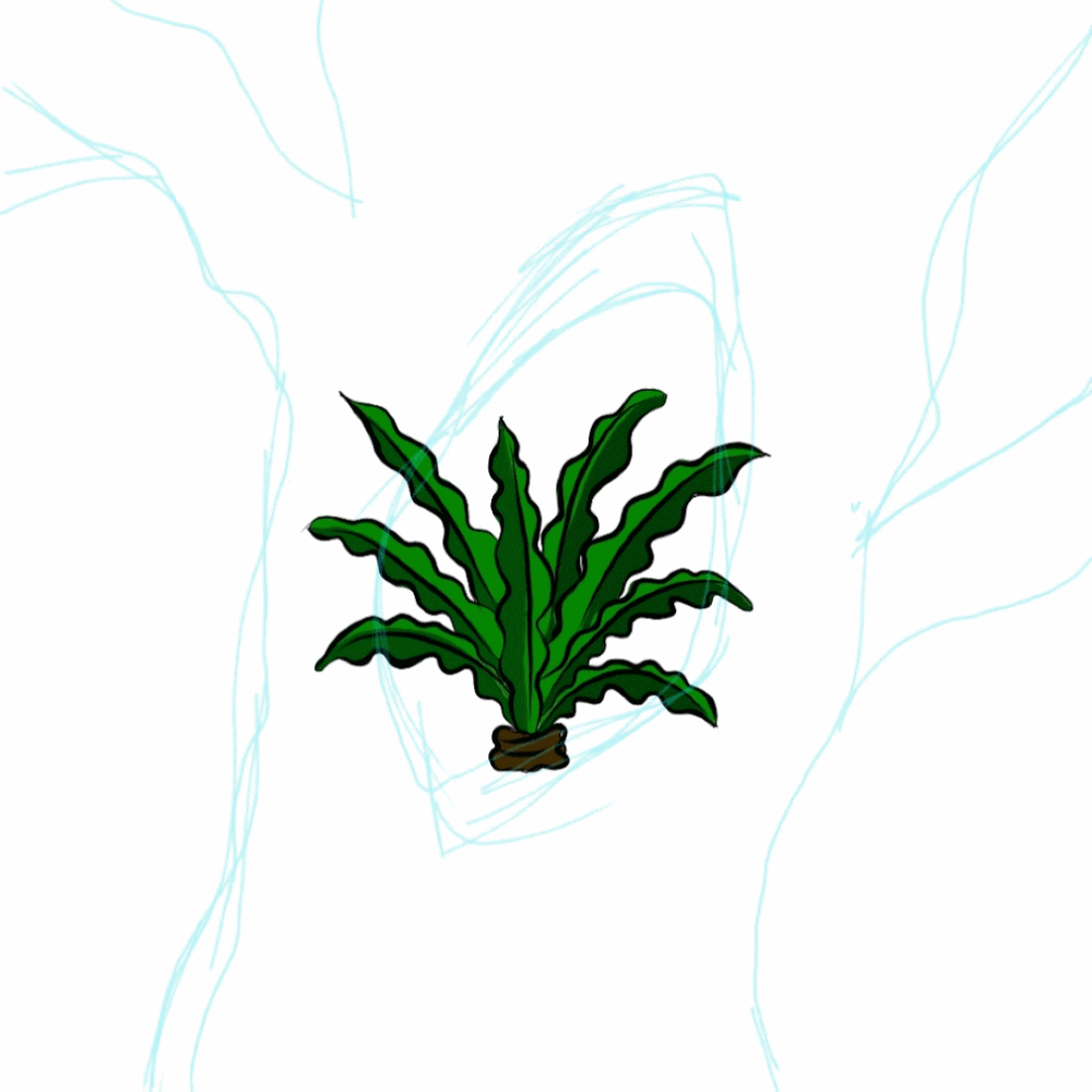 07.gif