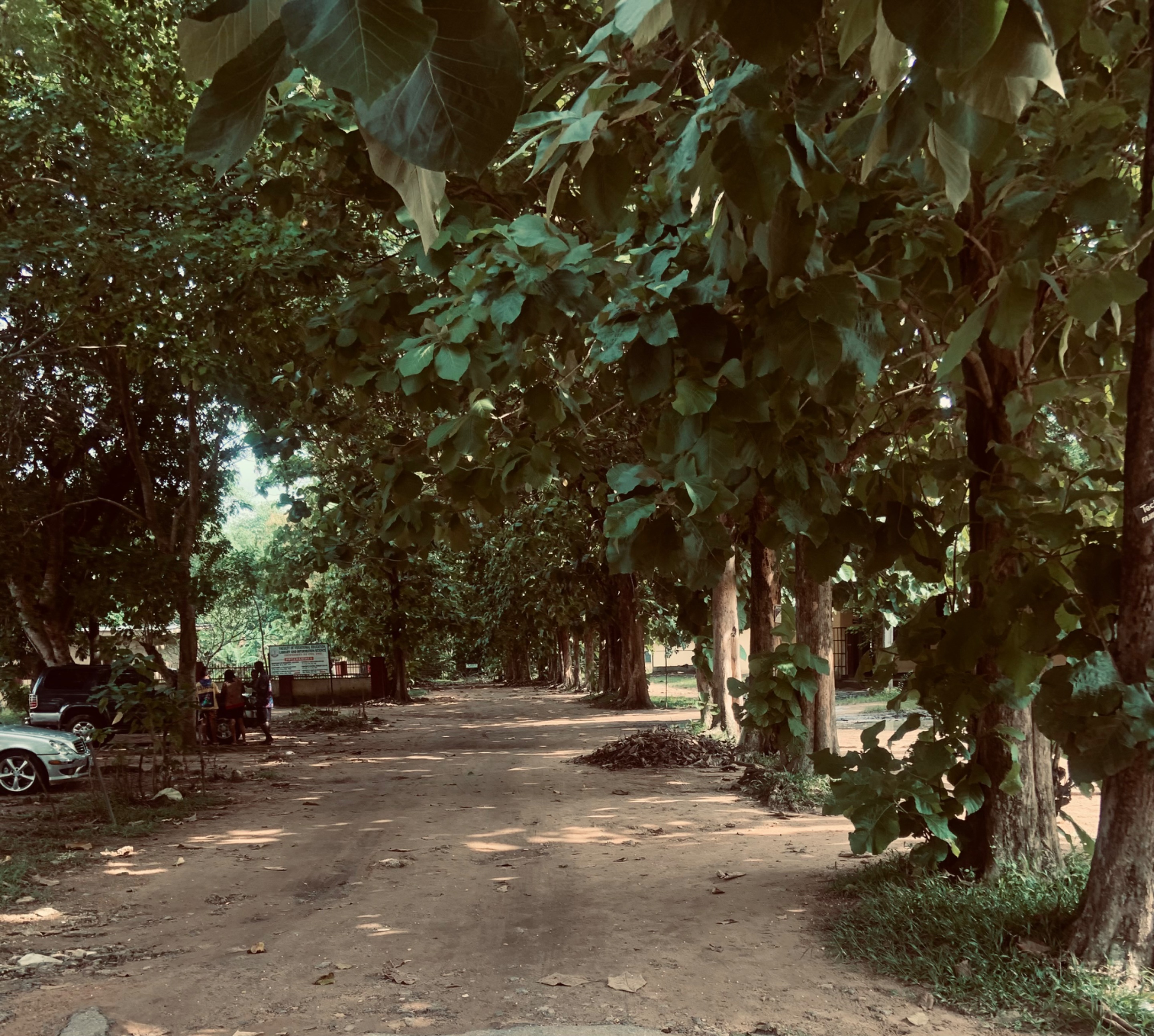 IMG_6054.jpeg