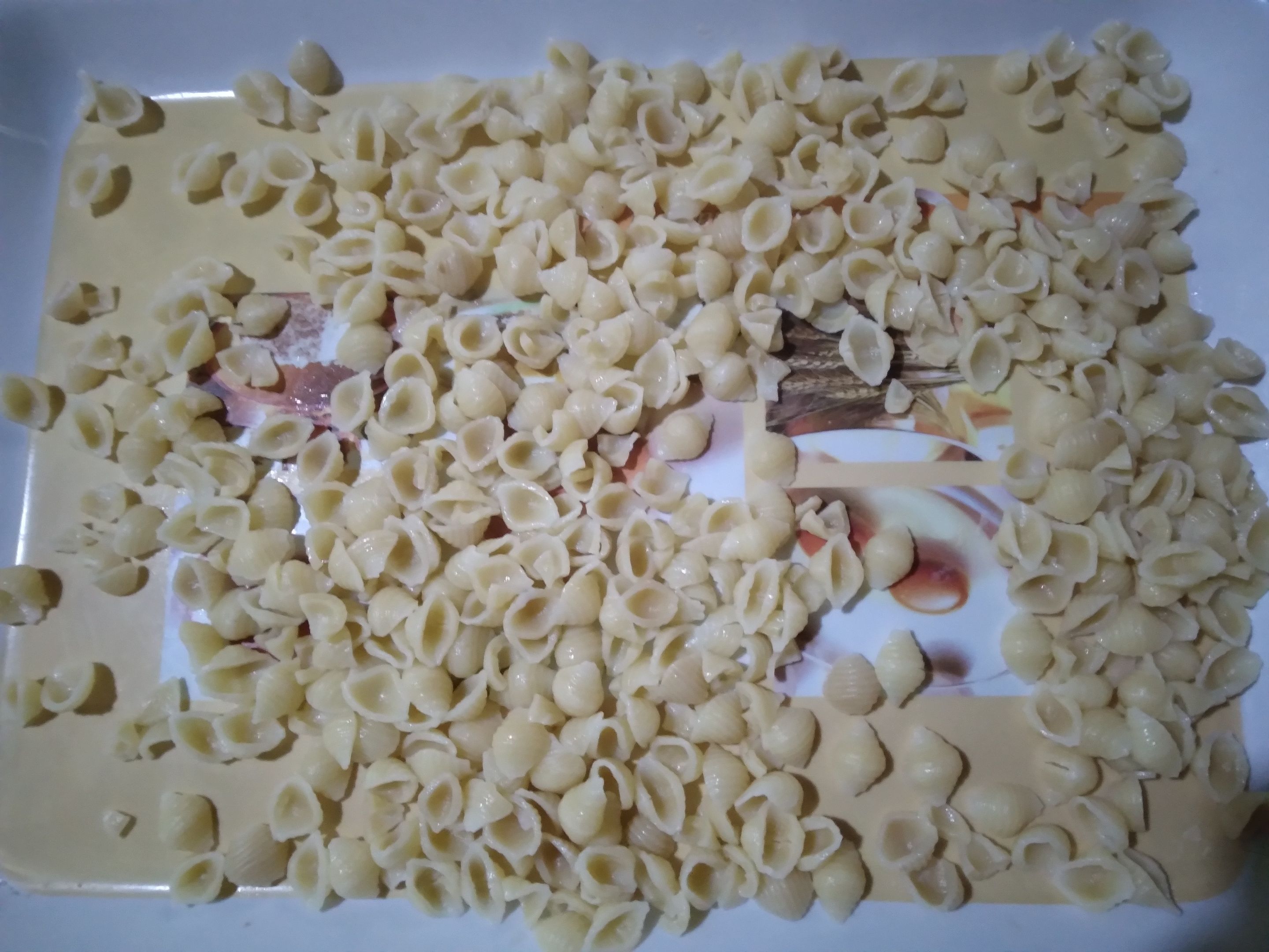 20230508_154523.jpg
