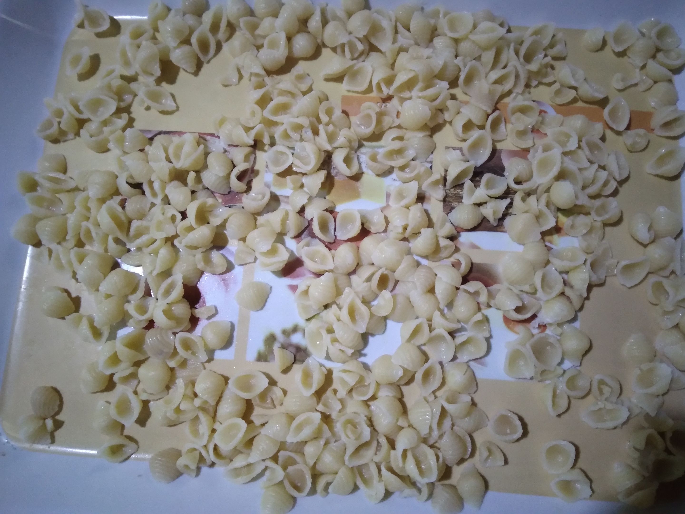 20230508_154653.jpg