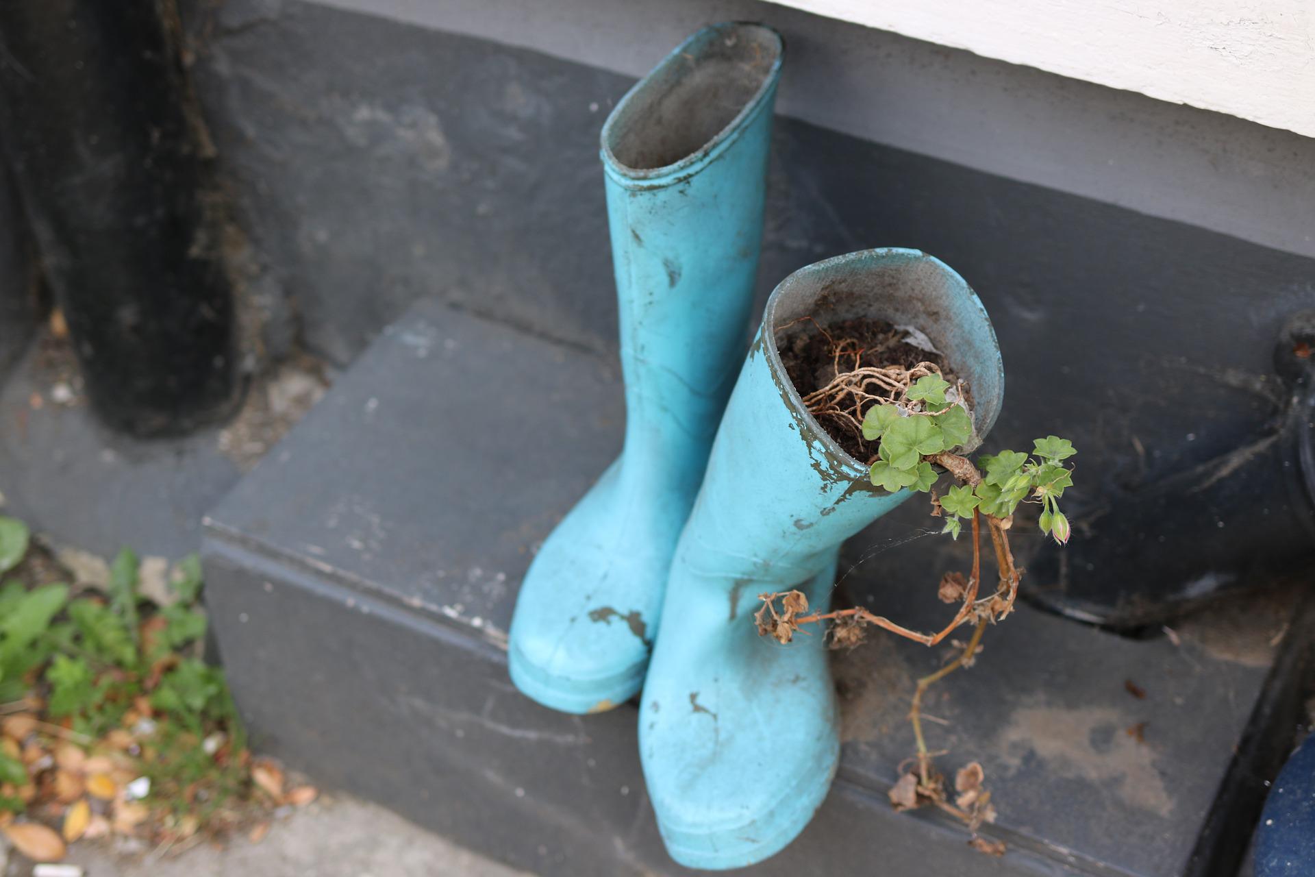 wellington-boots-959466_1920.jpg