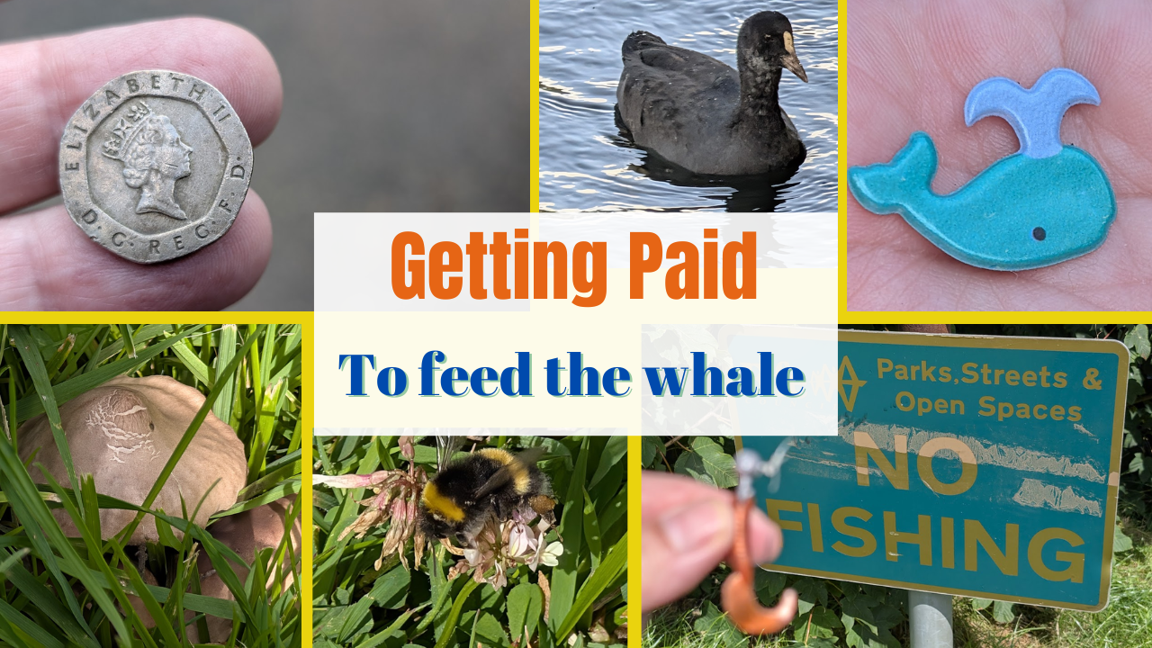 Getting Paid to feed the whale.png