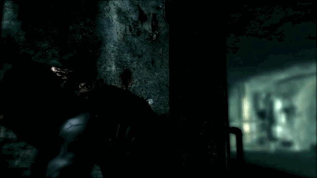 11.gif