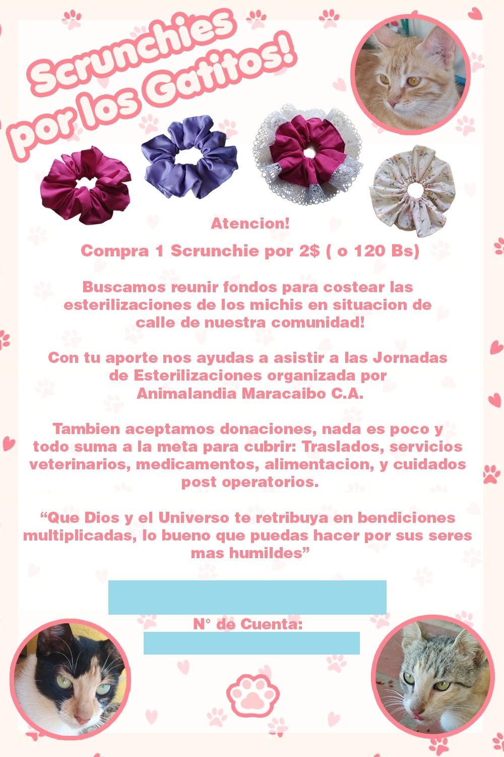FlyerRecolecciondeFondosMichis.jpg/